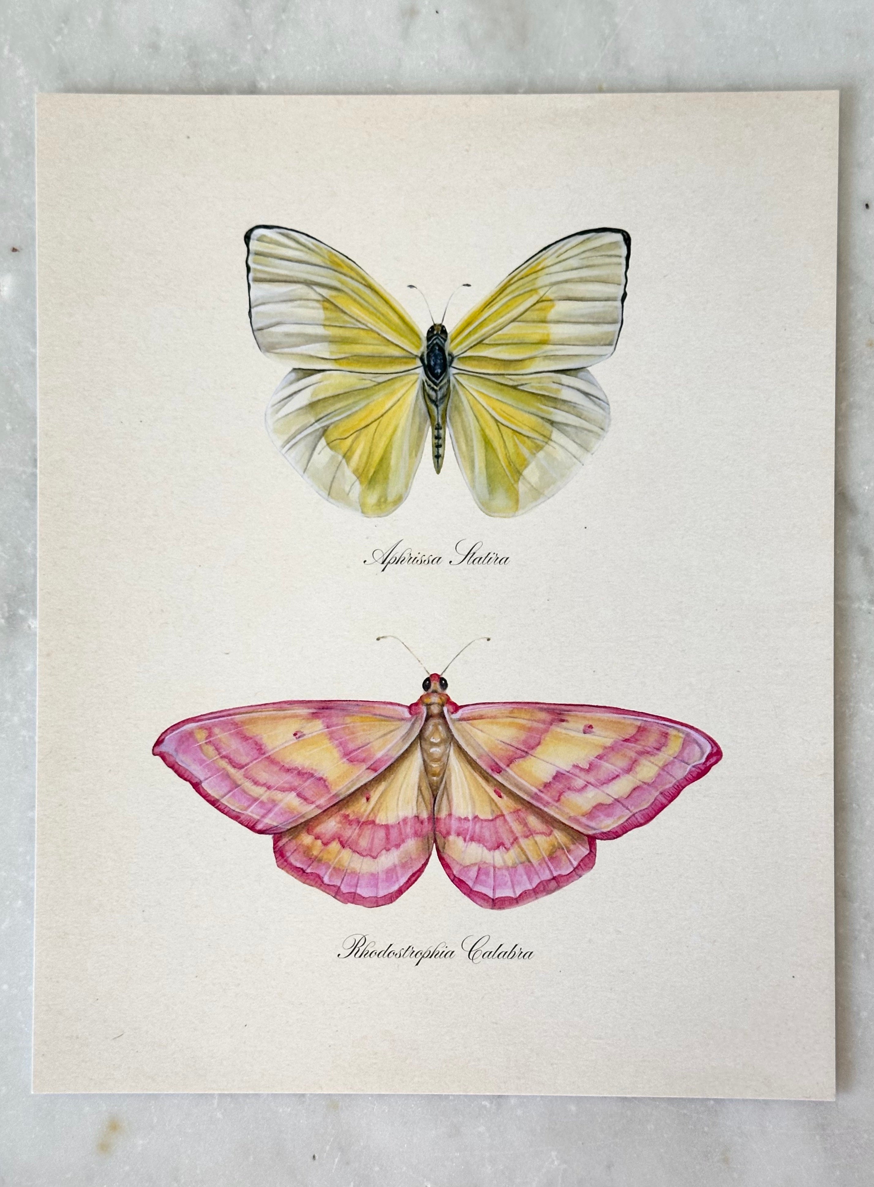 Yellow Butterfly + Pink Moth Print