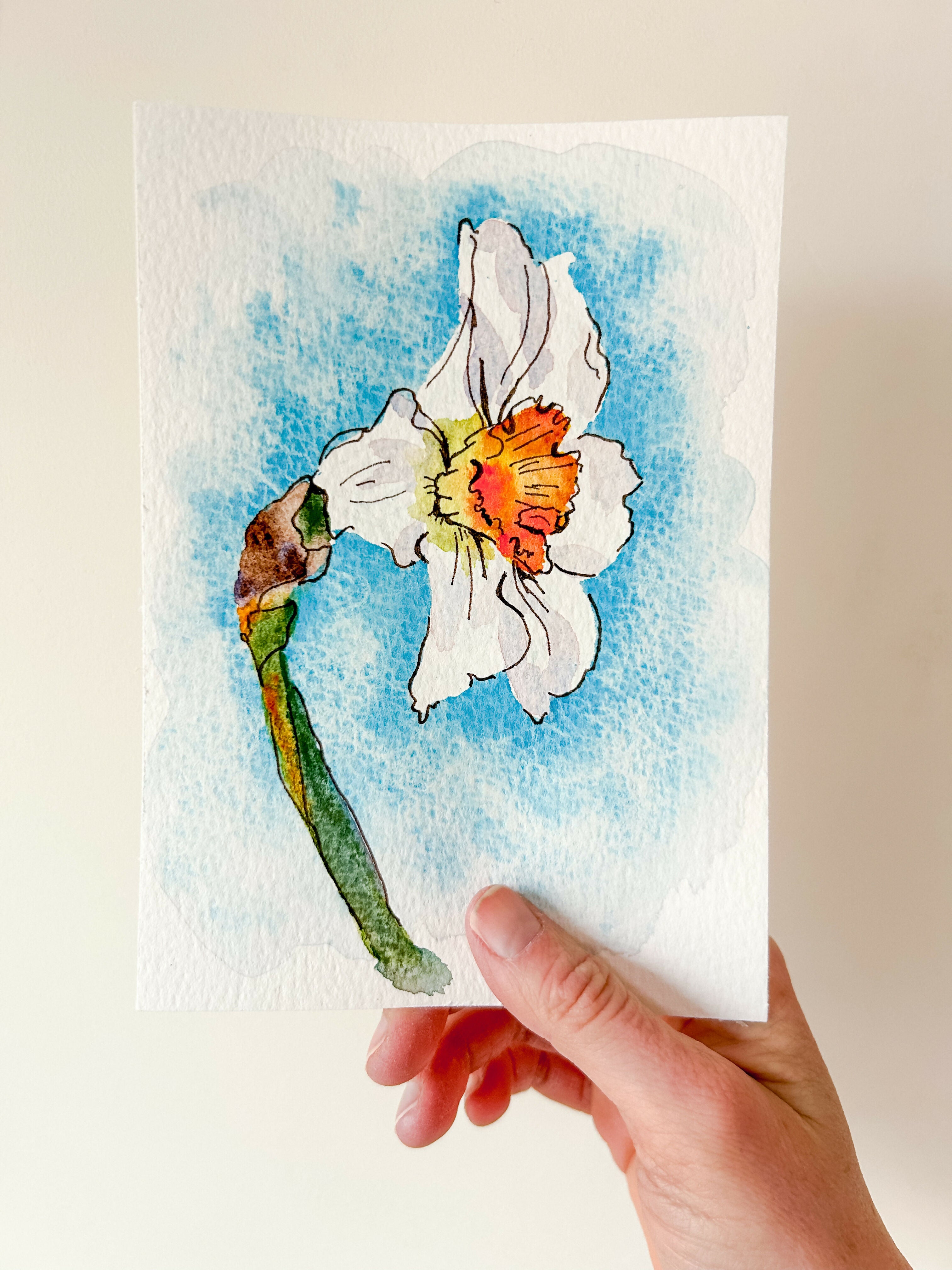 Heather Kiser White Narcissus No. 1 Held