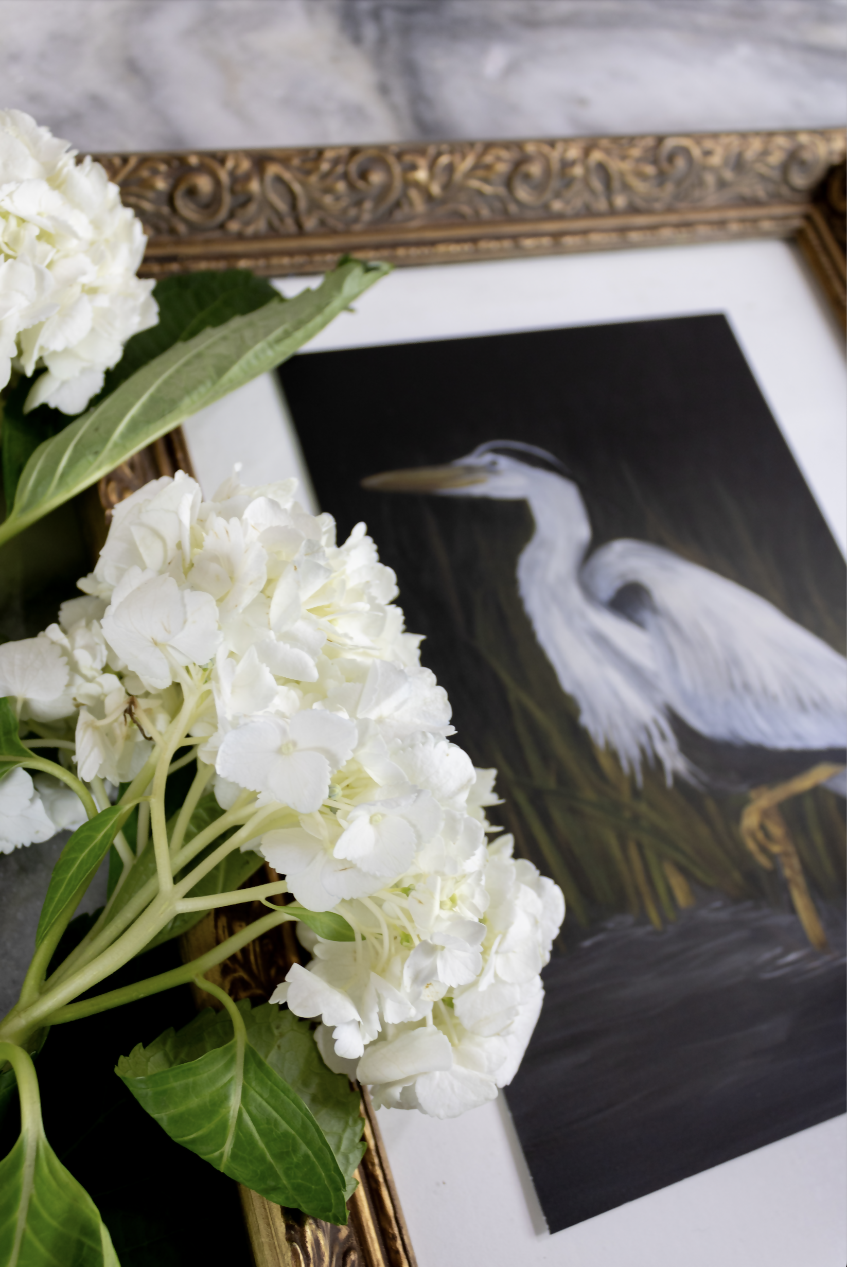 Heron at Night Print