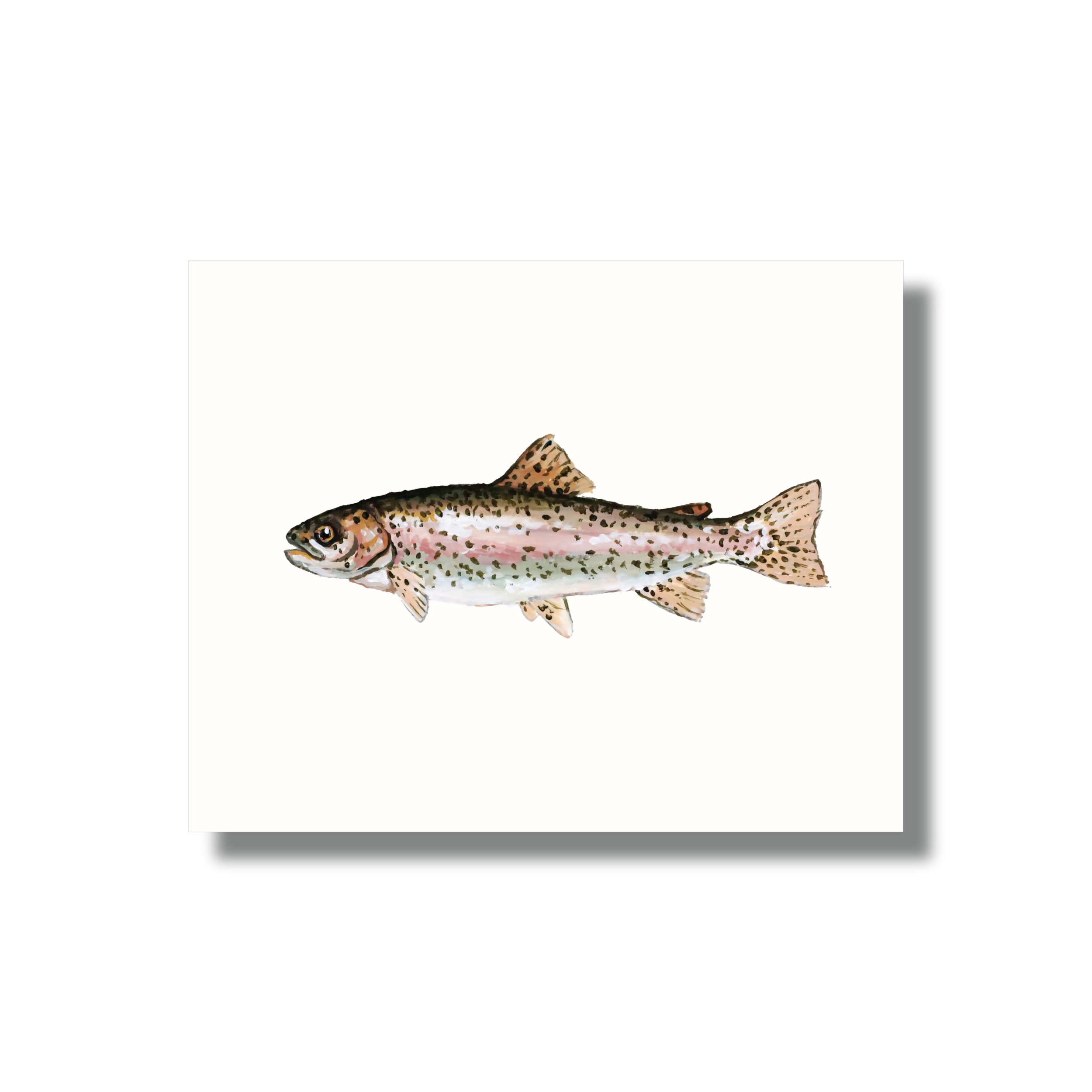 Rainbow Trout Study Print
