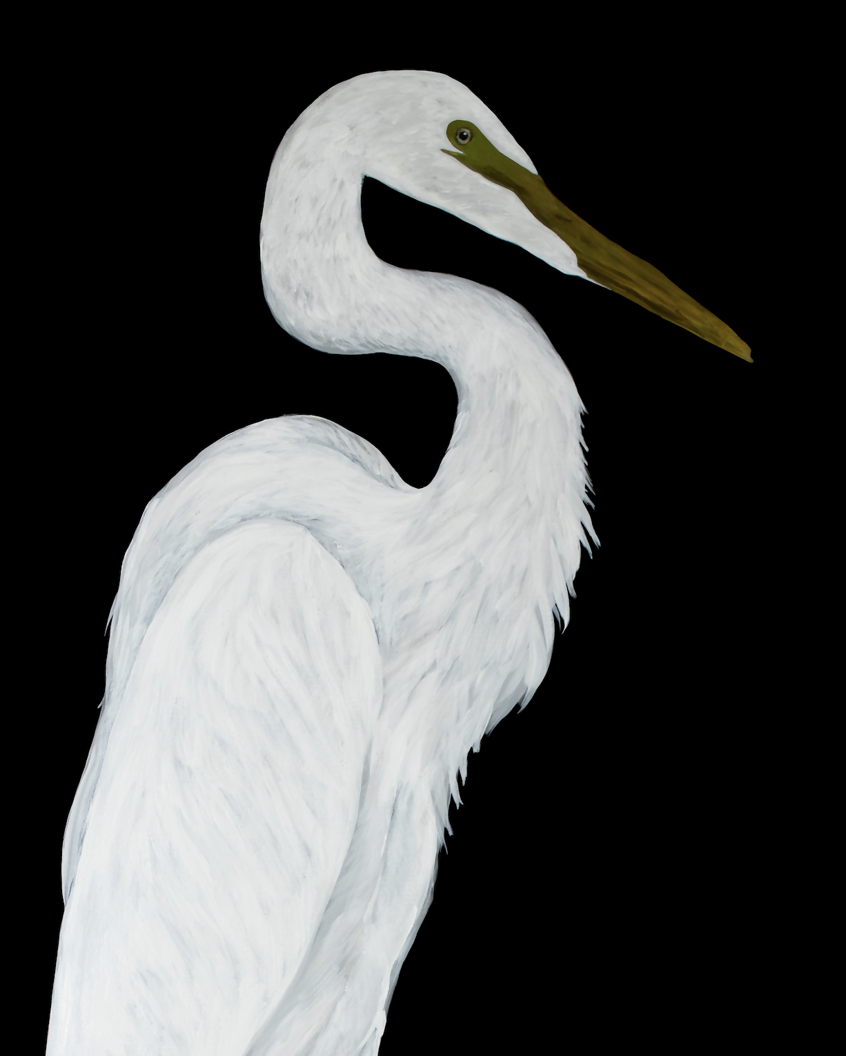Egret in Black I Print