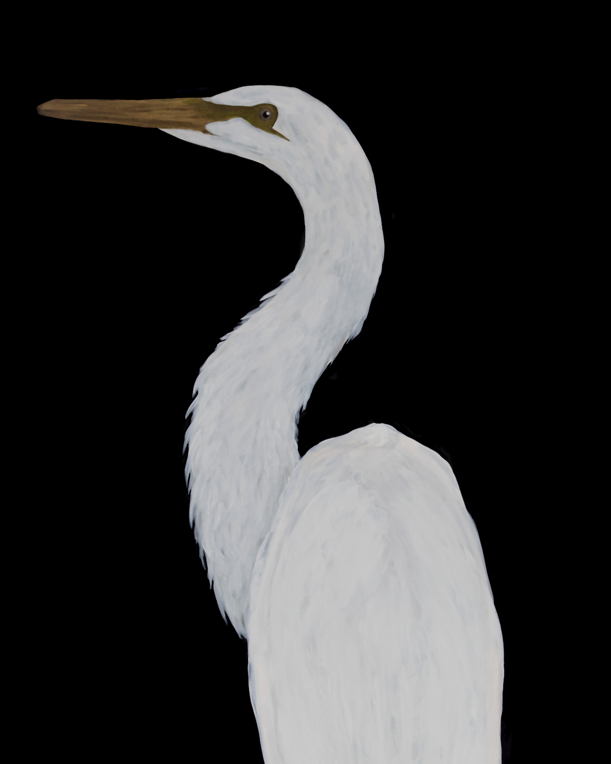 Egret in Black II Print