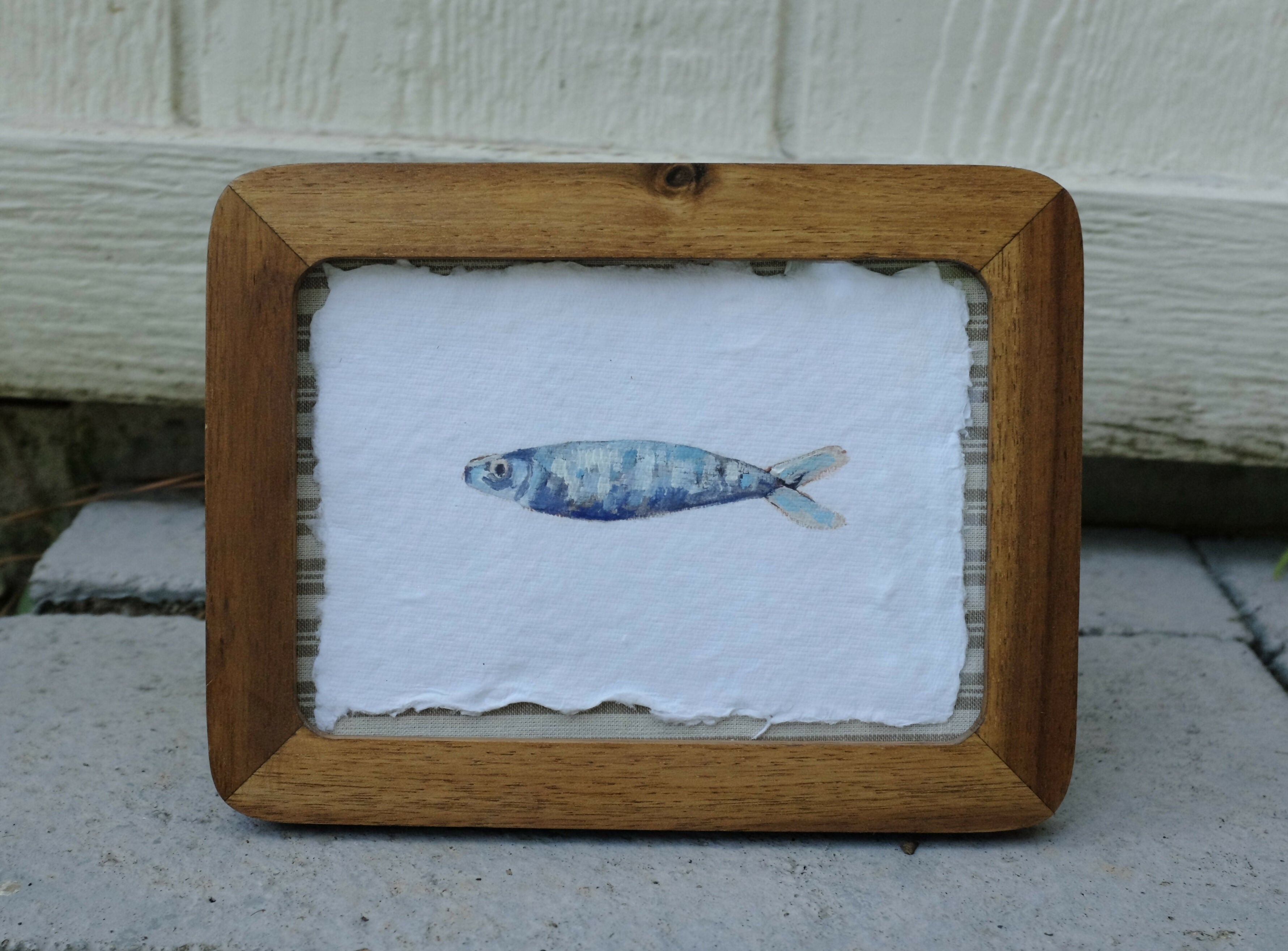 Sardine ii