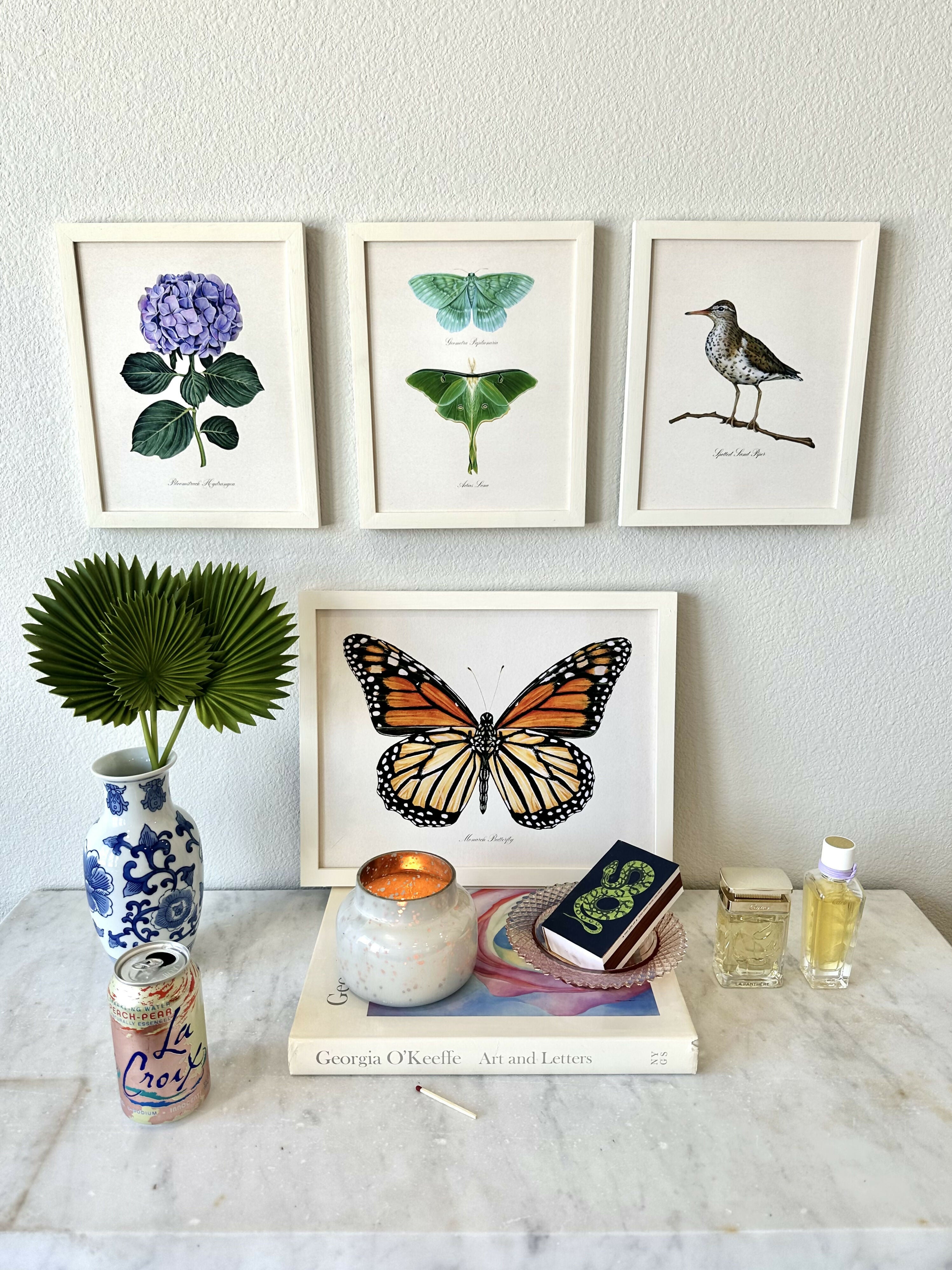 Emerald + Luna Moths Print