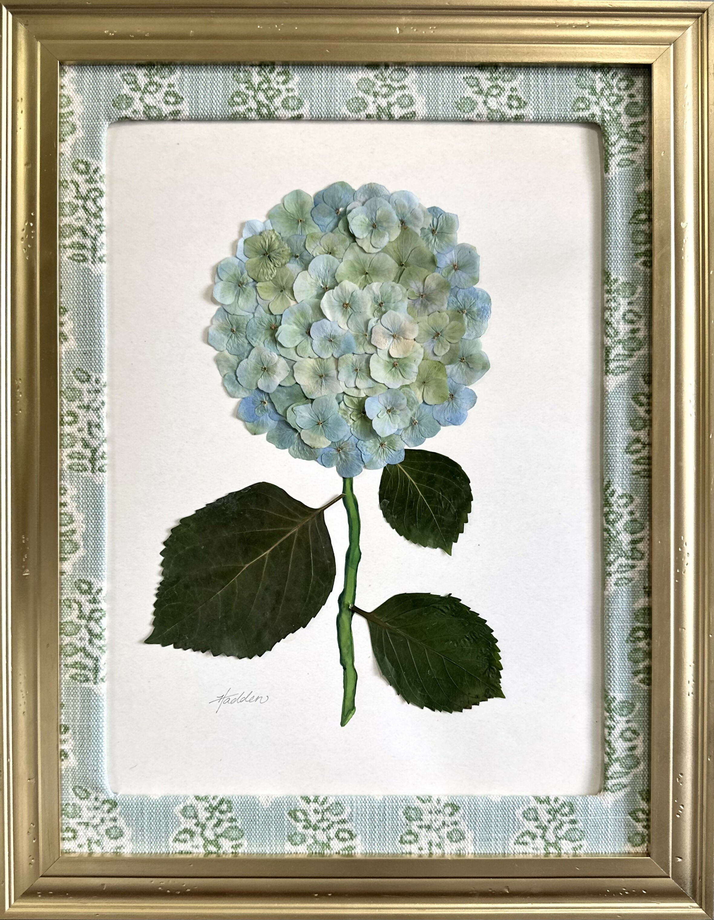 Pressed Hydrangea IV/VII