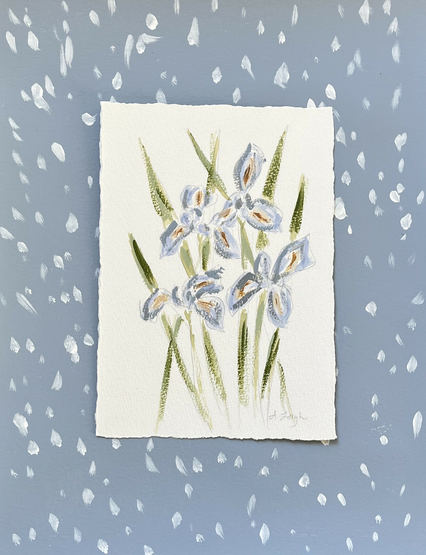 Iris (February Birth Flower)