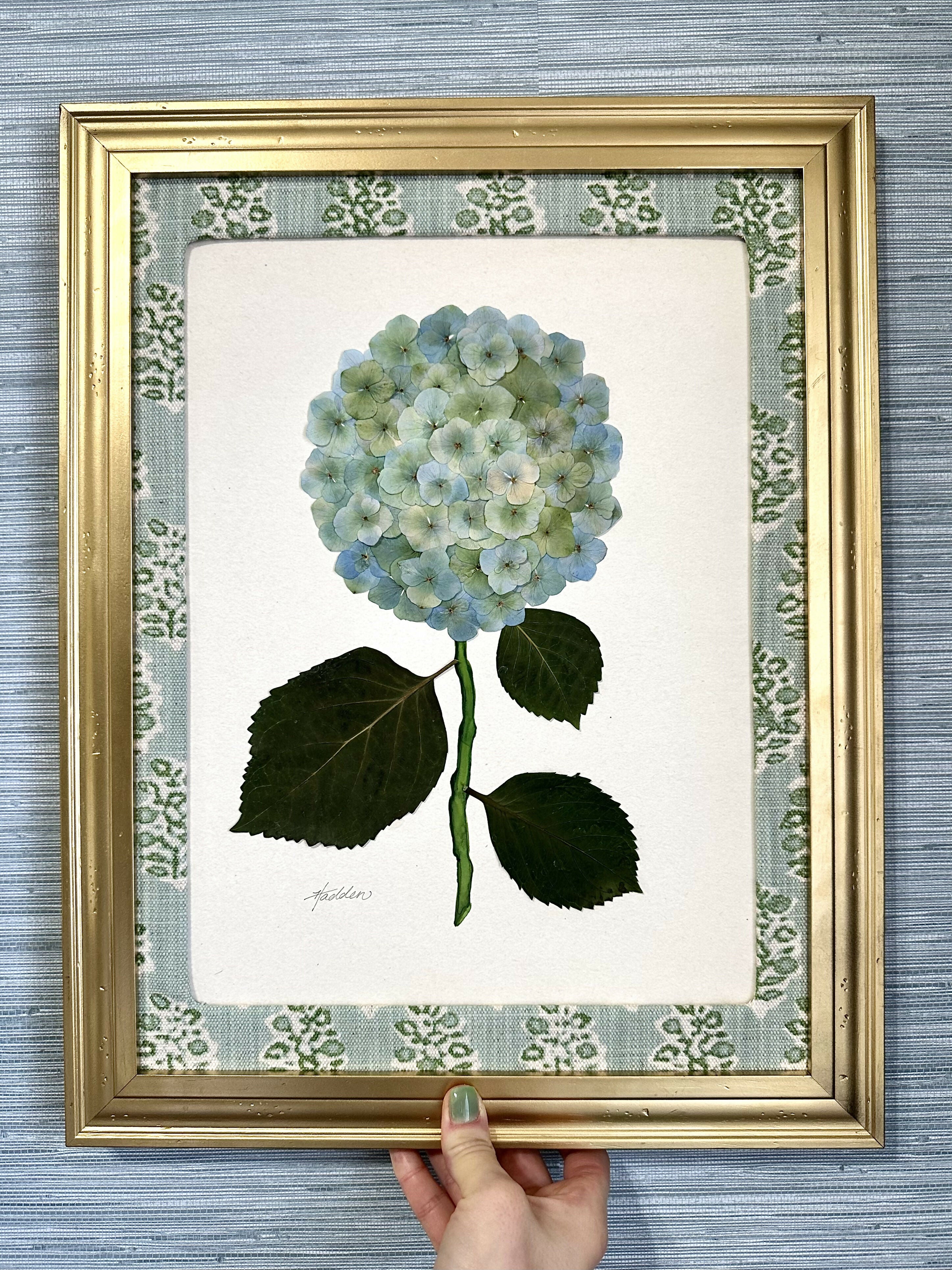 Pressed Hydrangea IV/VII