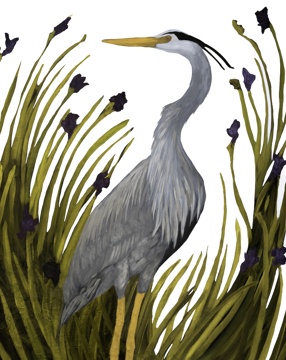 Heron Among the Irises Print