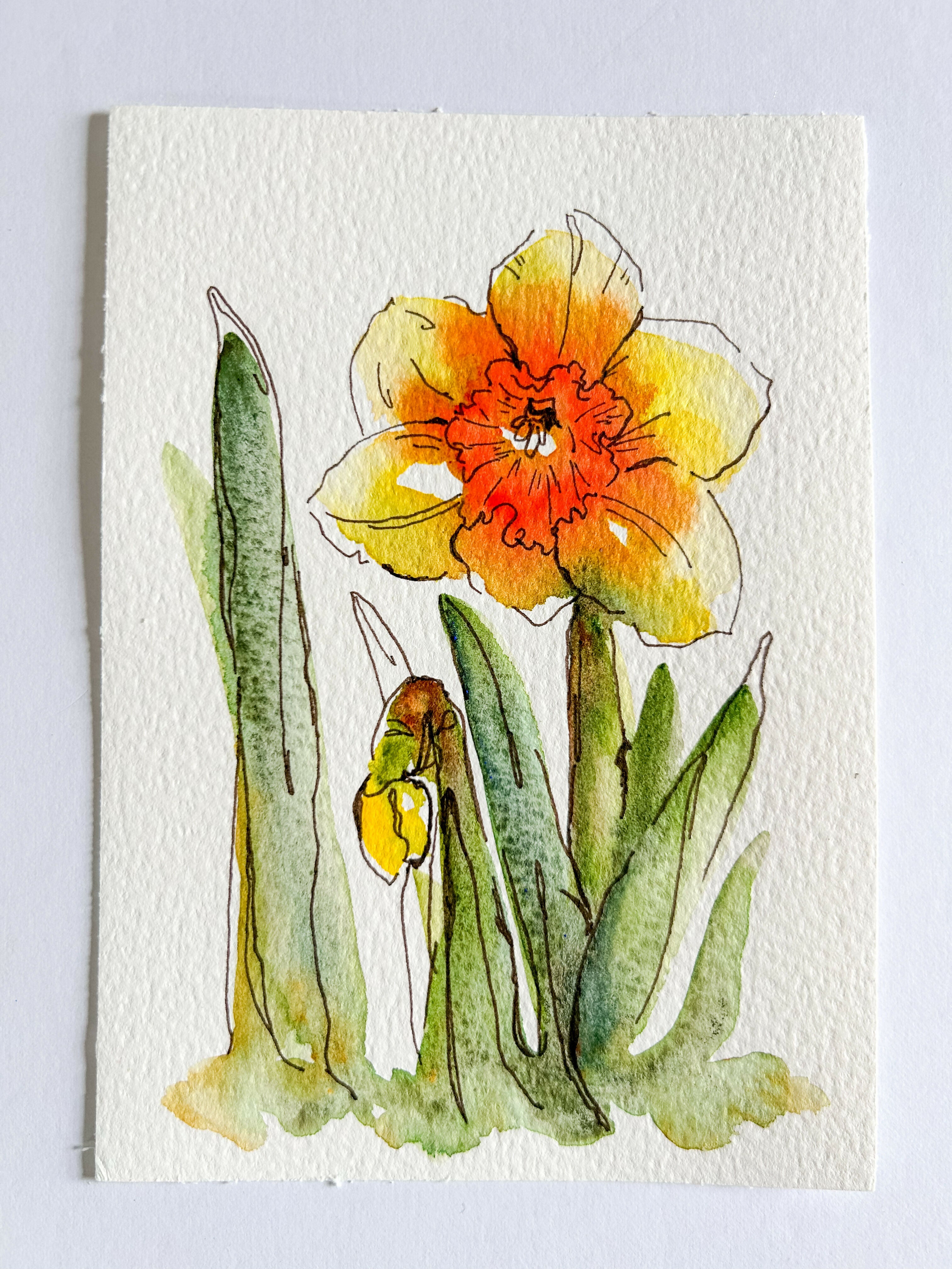 Heather Kiser Yellow Narcissus No. 1