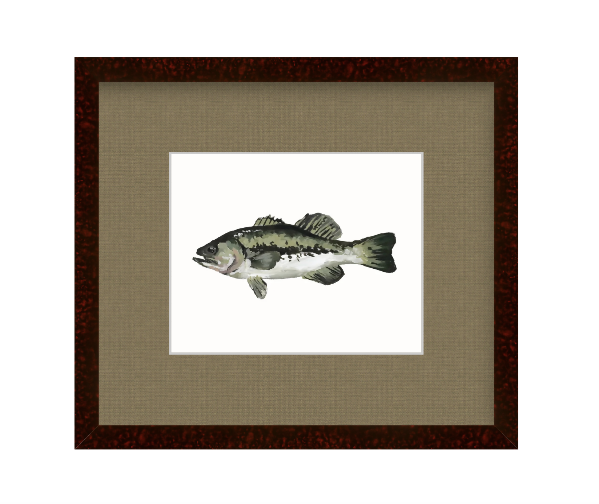 Largemouth Bass Study Print