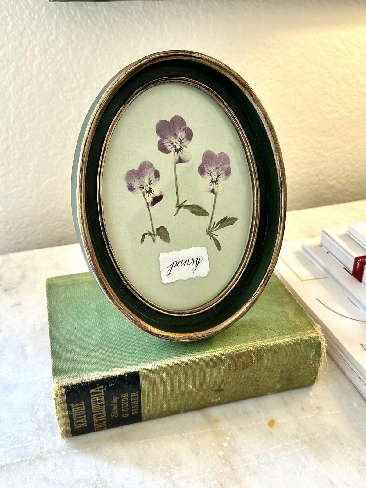 Purple Pressed Pansies
