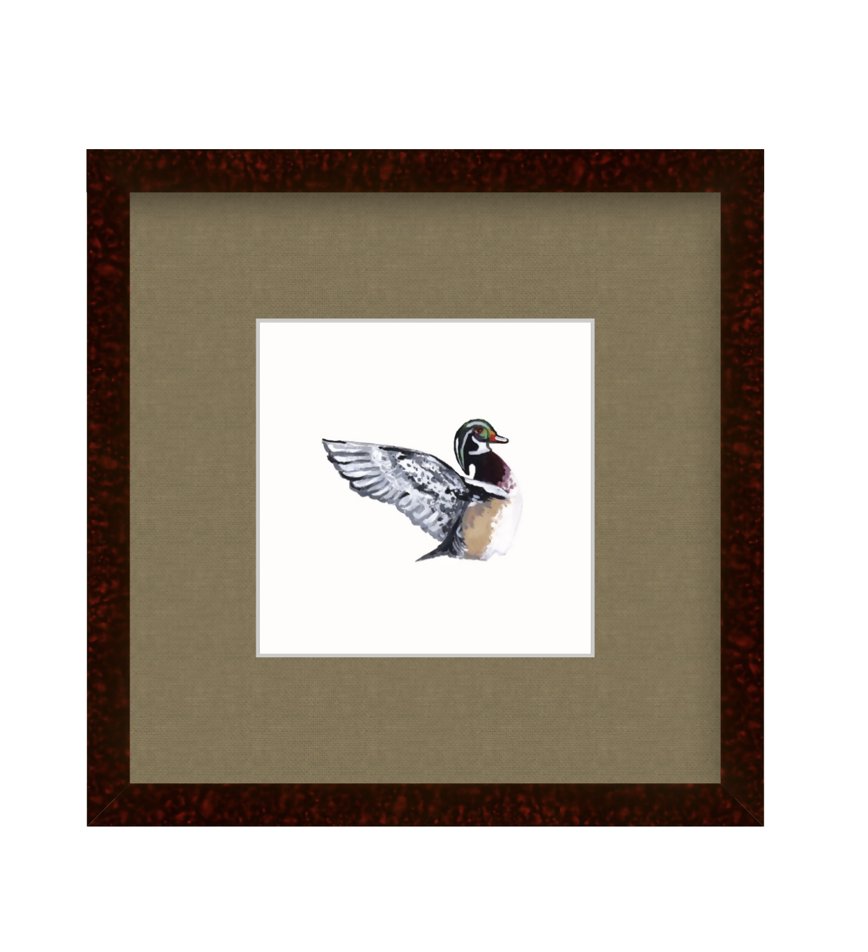 Wood Duck Study Print