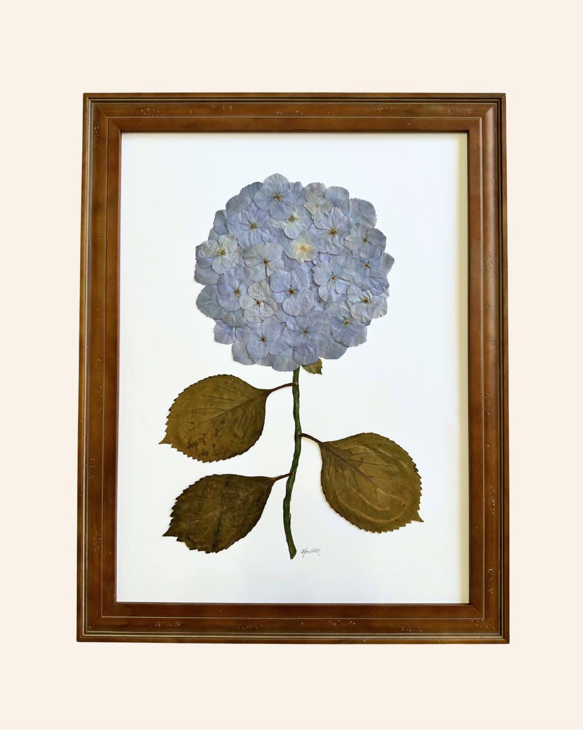 Pressed Hydrangea