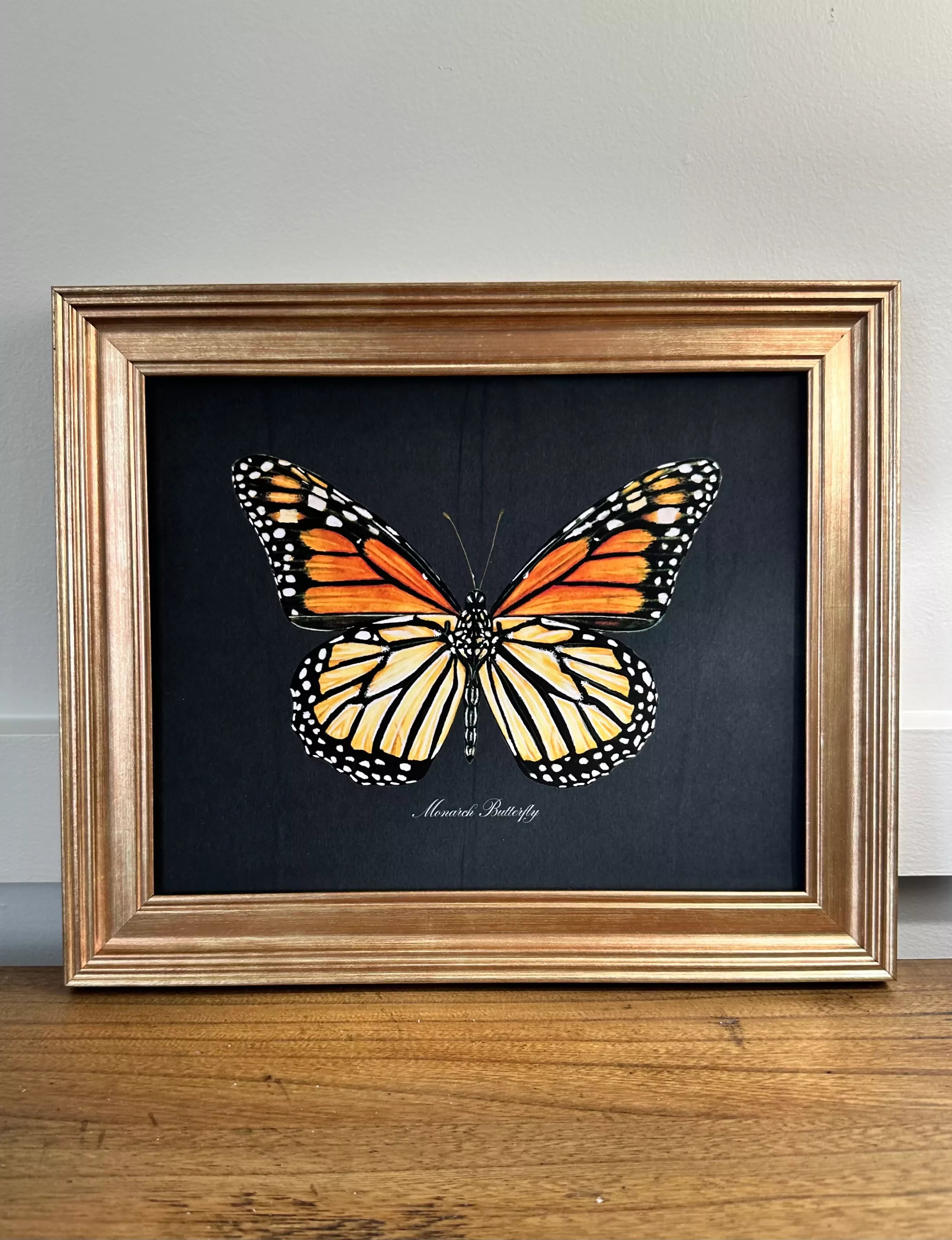 Special Edition Framed Monarch Butterfly Print