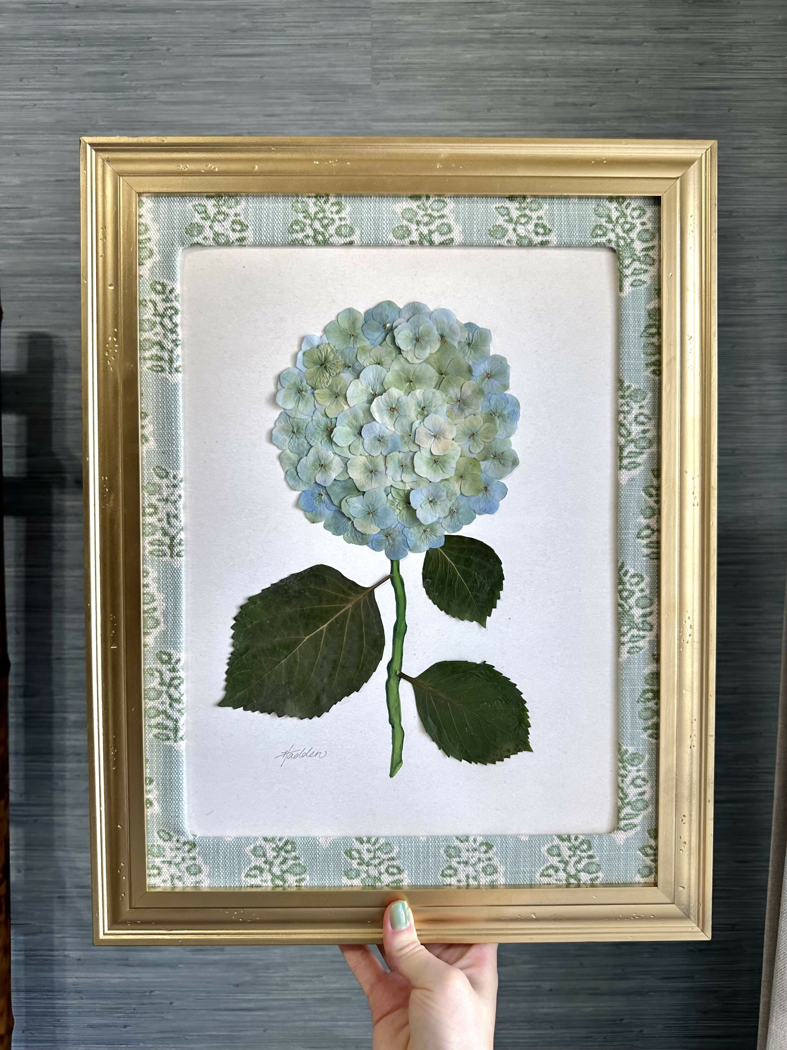 Pressed Hydrangea IV/VII