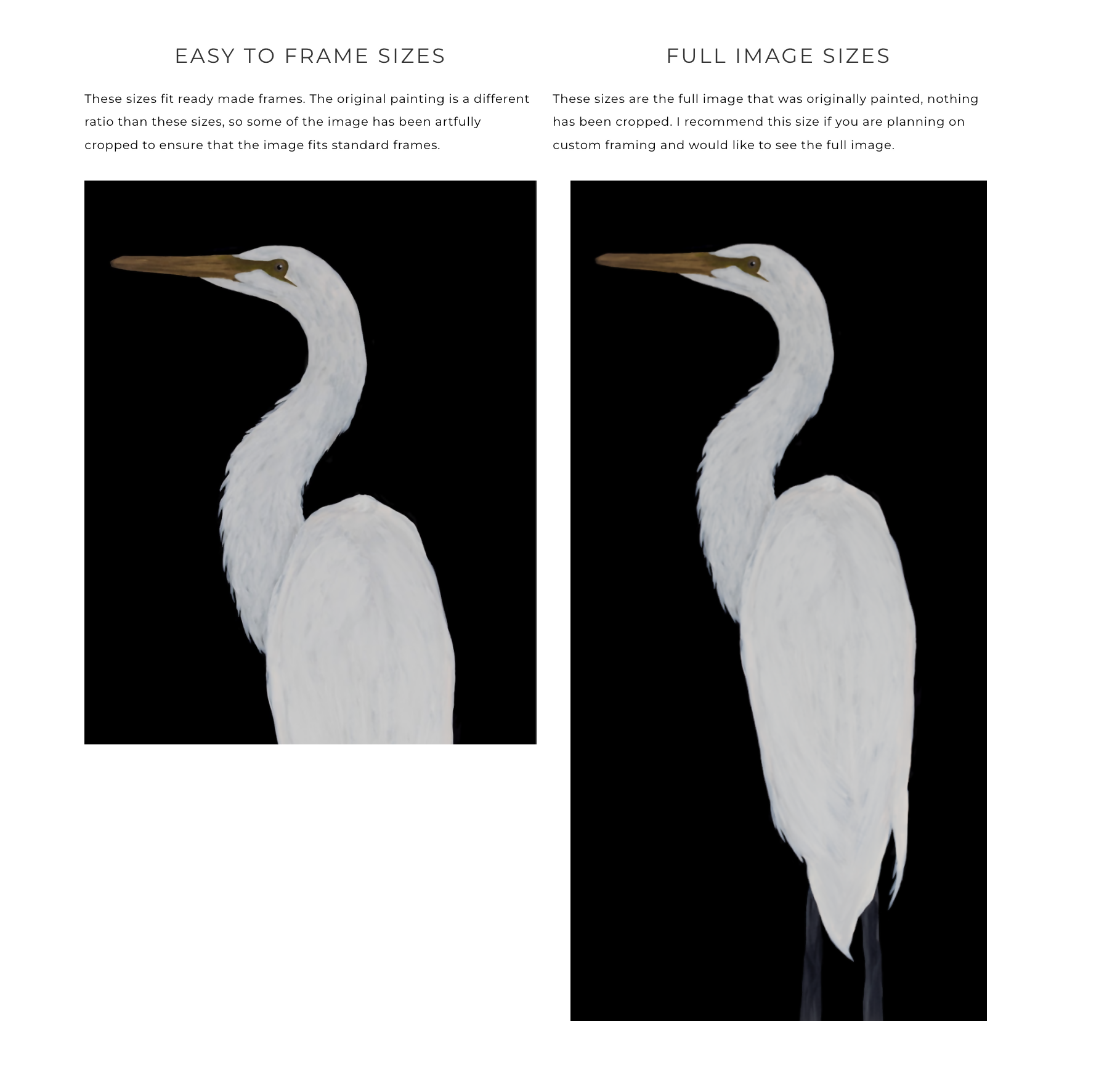 Egret in Black II Print
