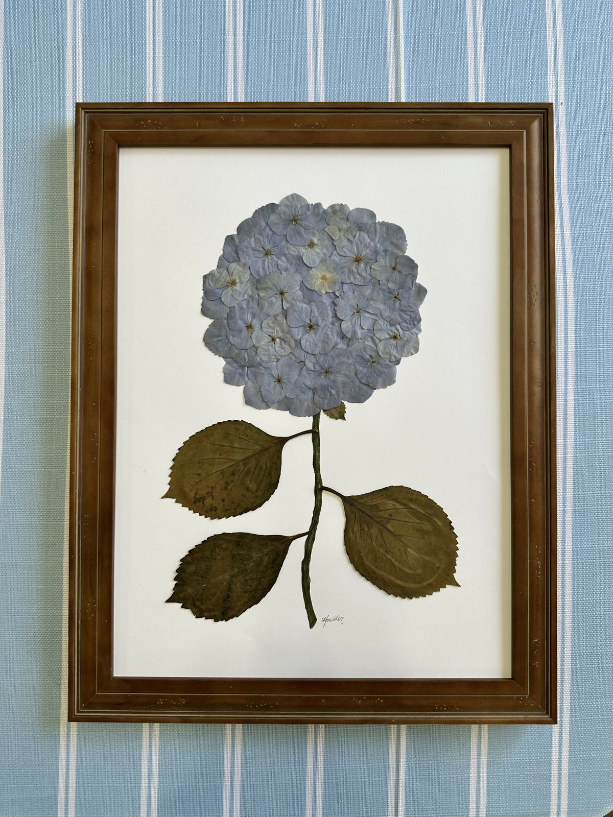 Pressed Hydrangea