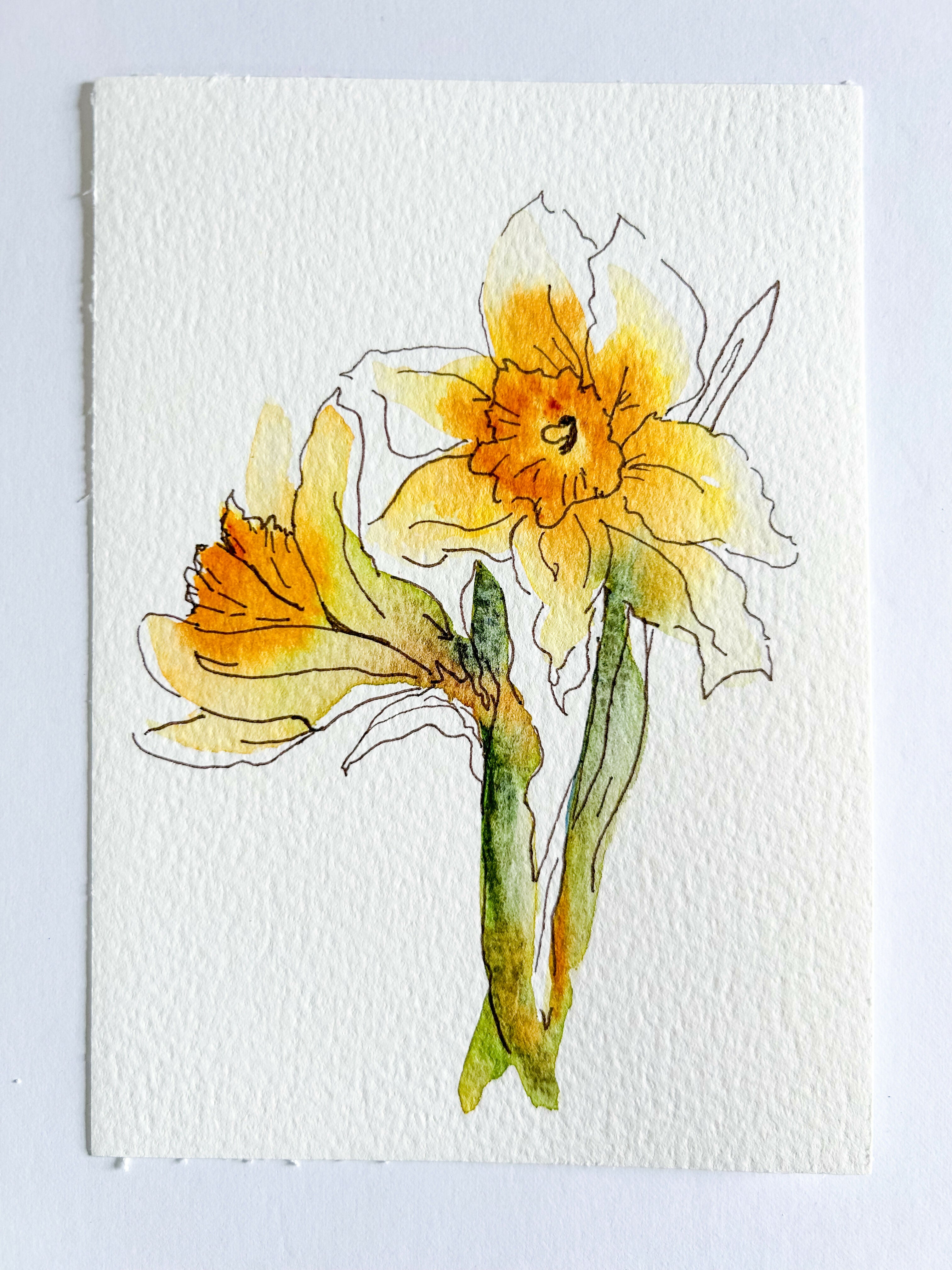 Heather Kiser Yellow Narcissus No. 2