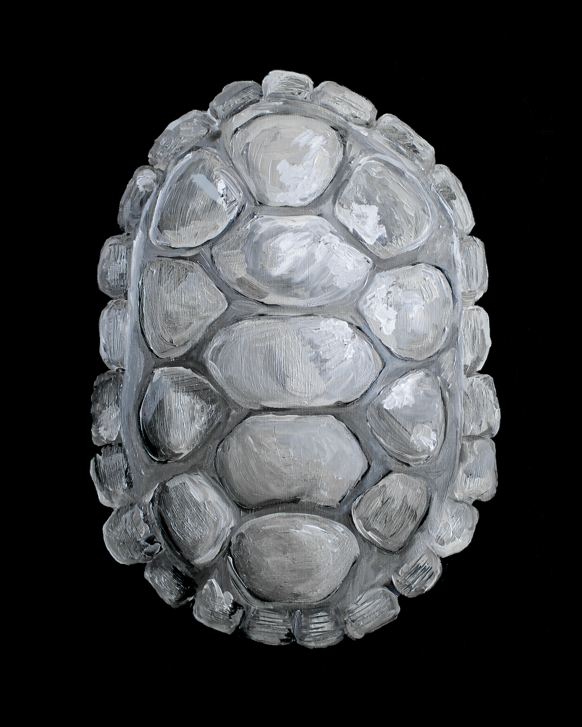 Silvered Turtle Print