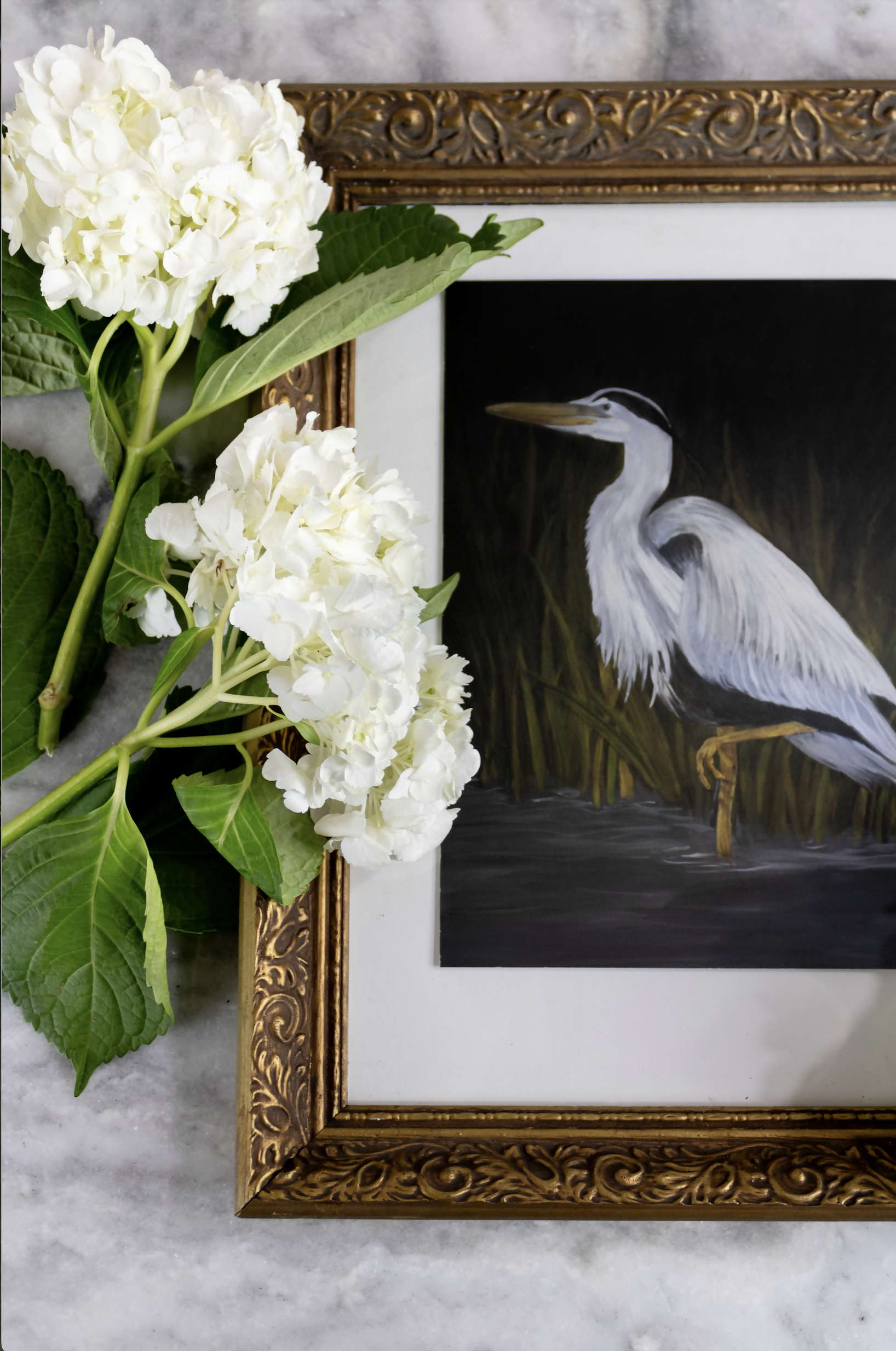 Heron at Night Print