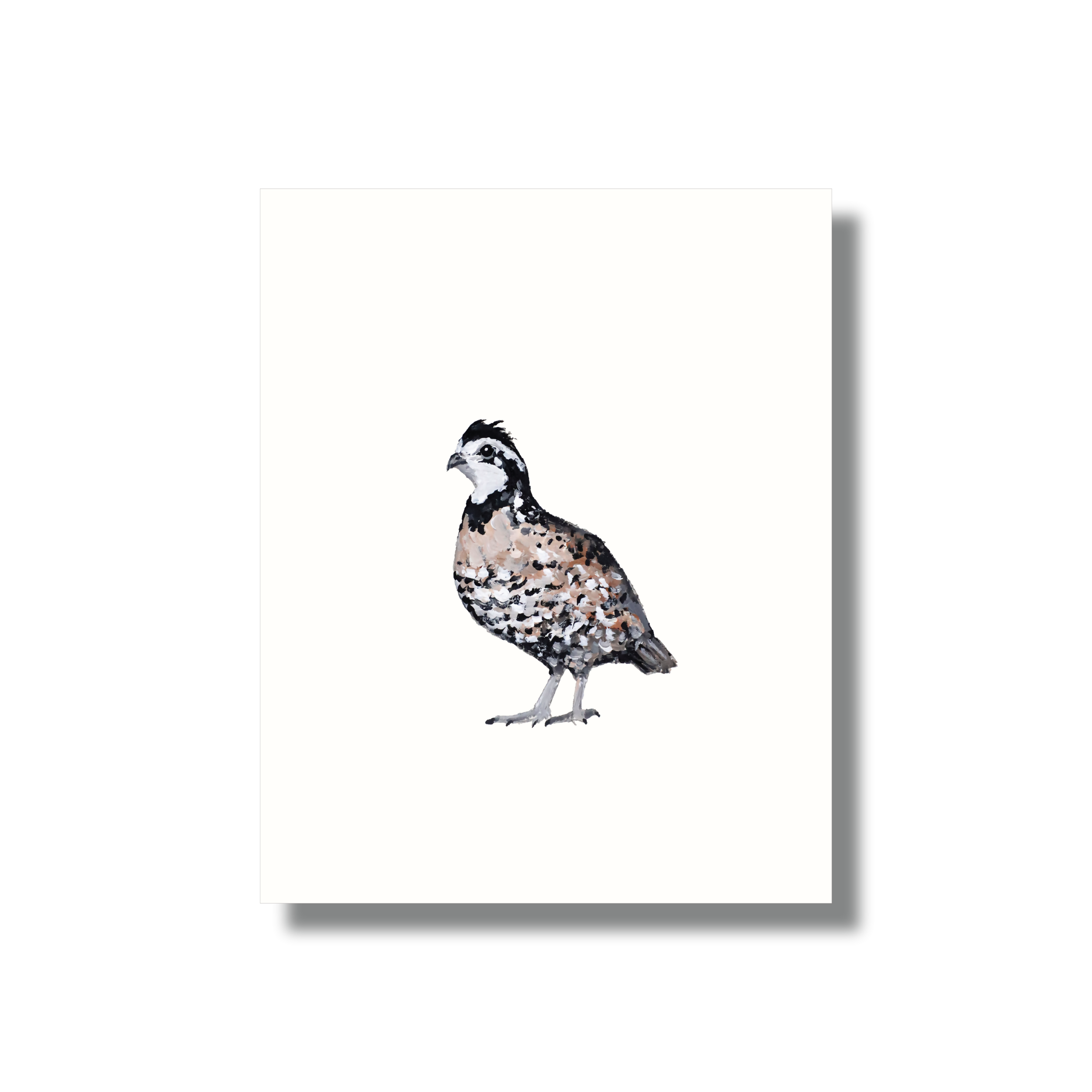 Bobwhite Quail Study Print