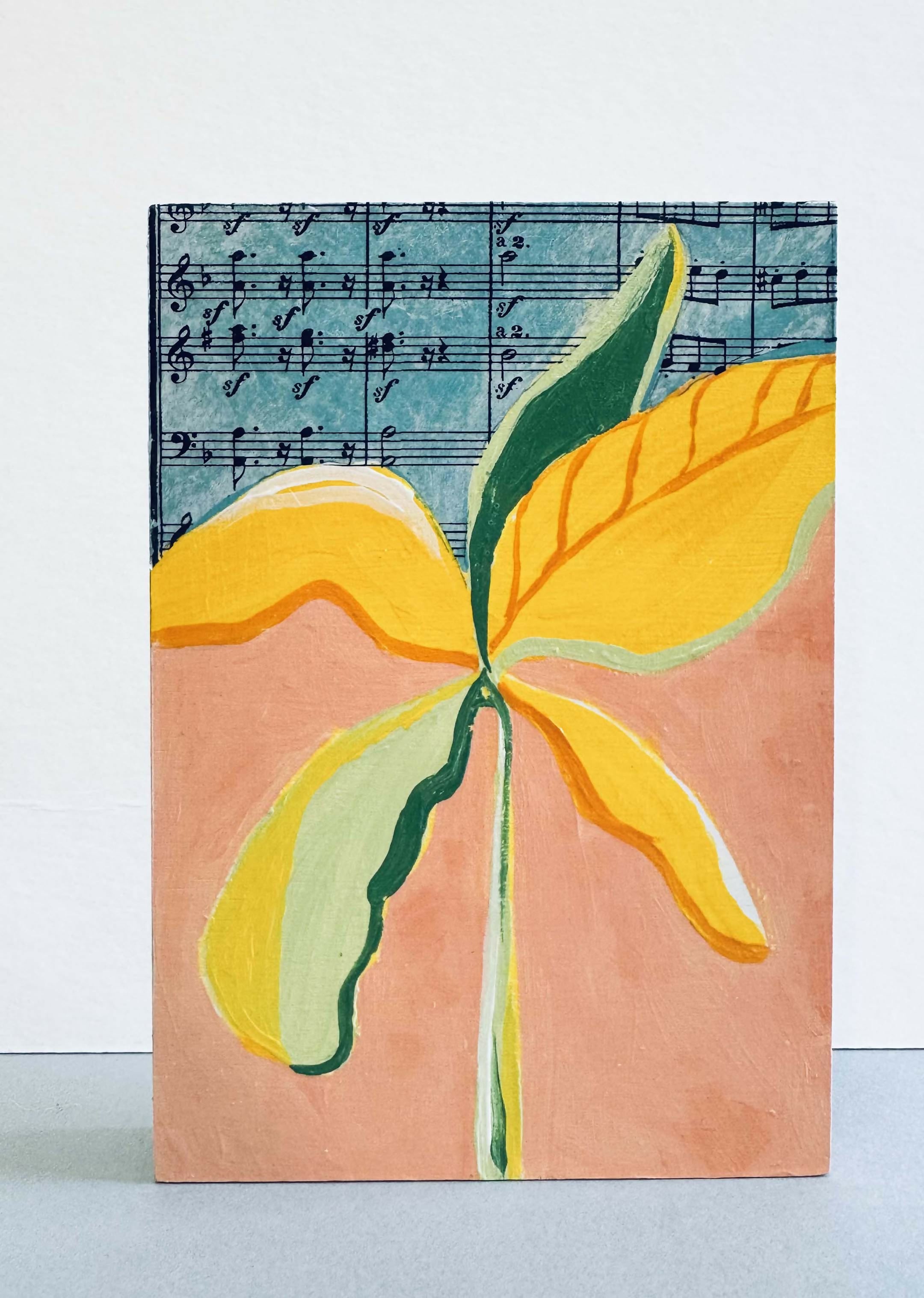 Group of Banana Trees