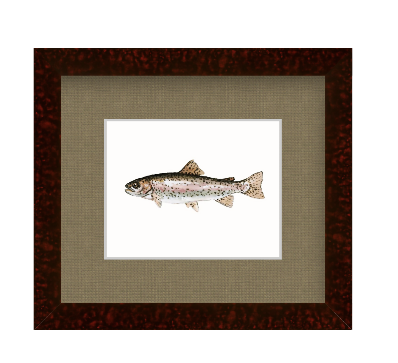 Rainbow Trout Study Print