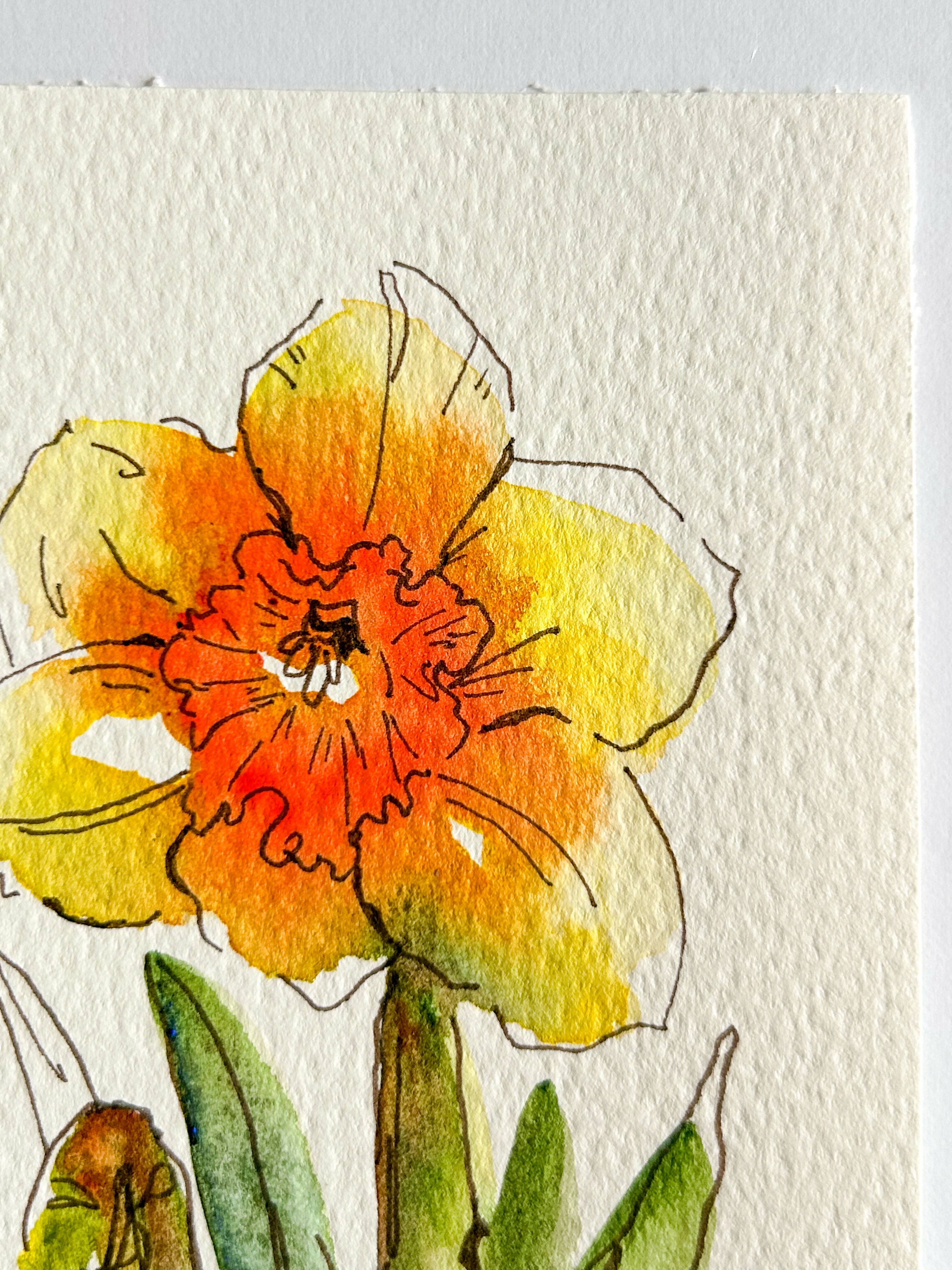 Heather Kiser Yellow Narcissus No. 1 Detail