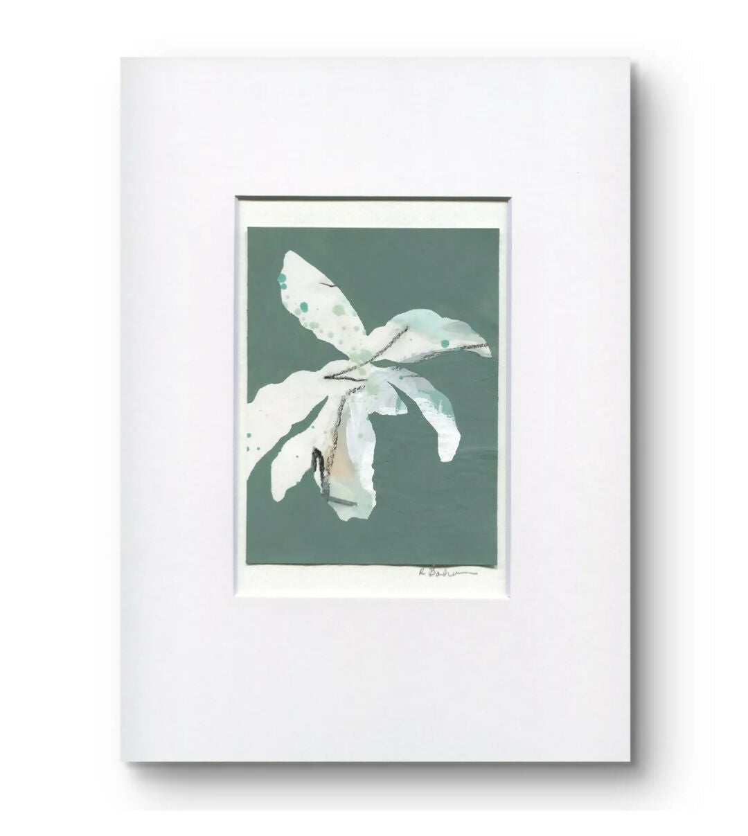 Magnolias In Moonlight - Kashmir No.2