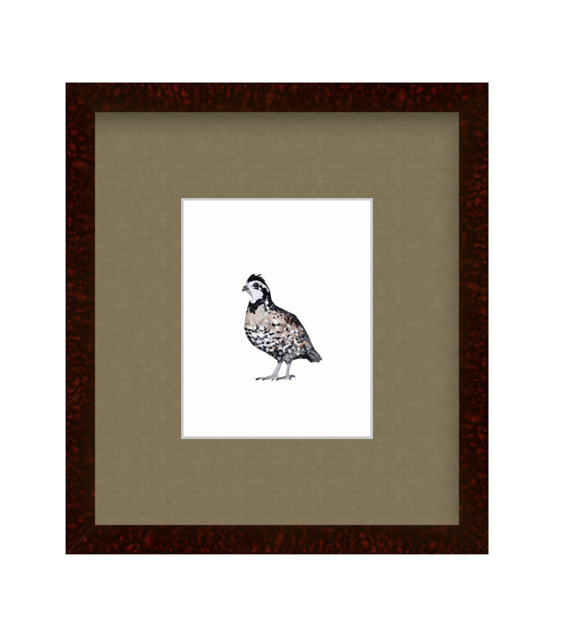 Bobwhite Quail Study Print