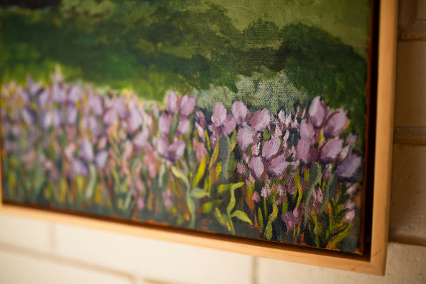 Lavender Field