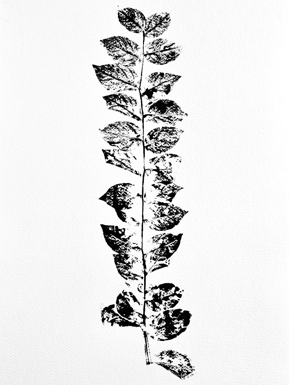 Crype Myrtle Ink Transfer