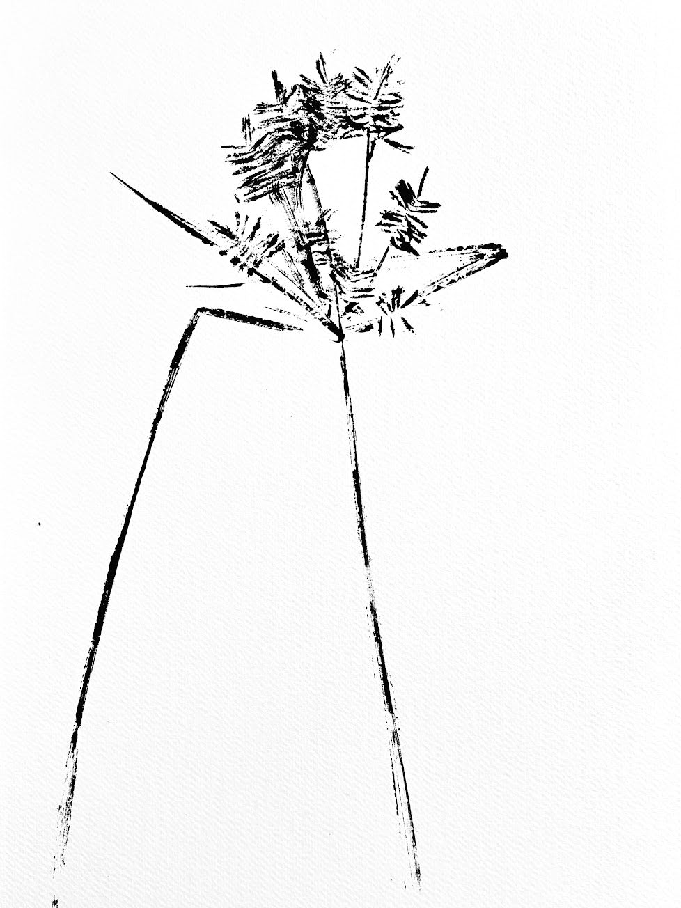 Summer Grass Ink Transfer