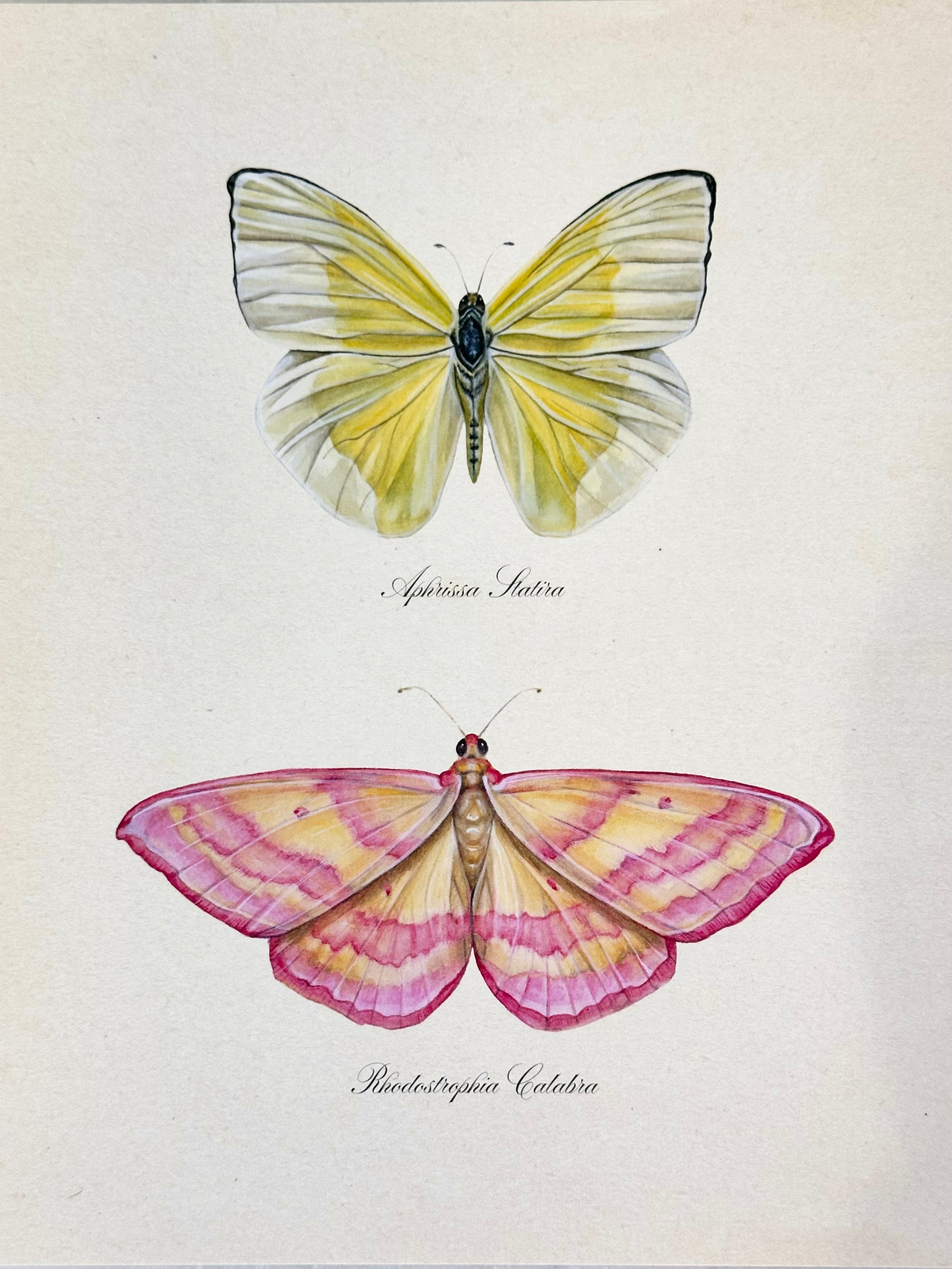 Yellow Butterfly + Pink Moth Print