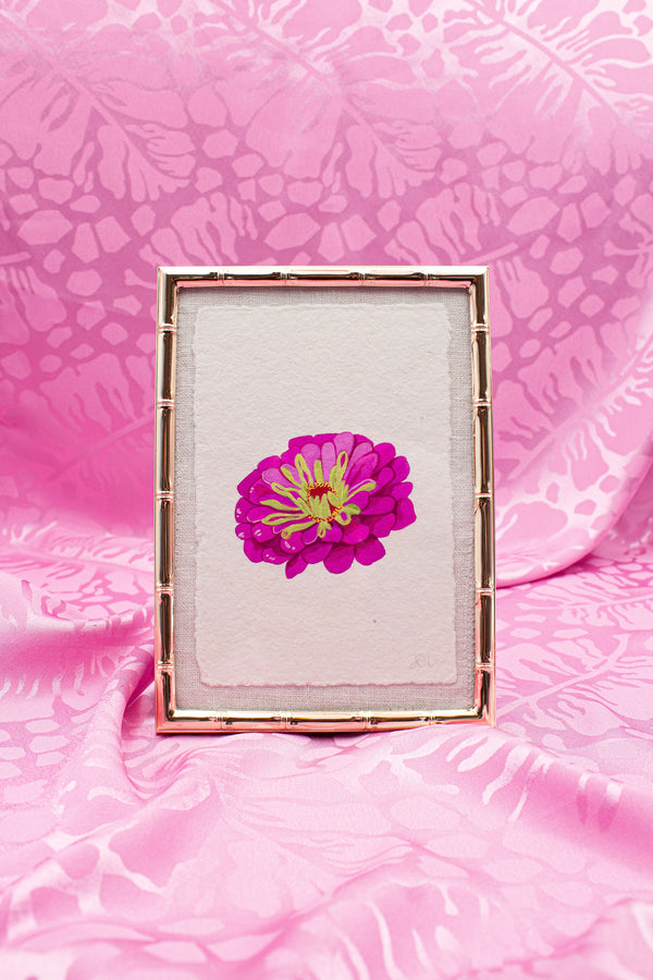 Zinnia