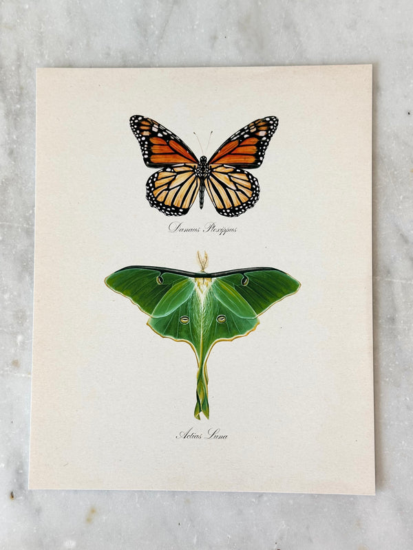 Monarch + Luna Print