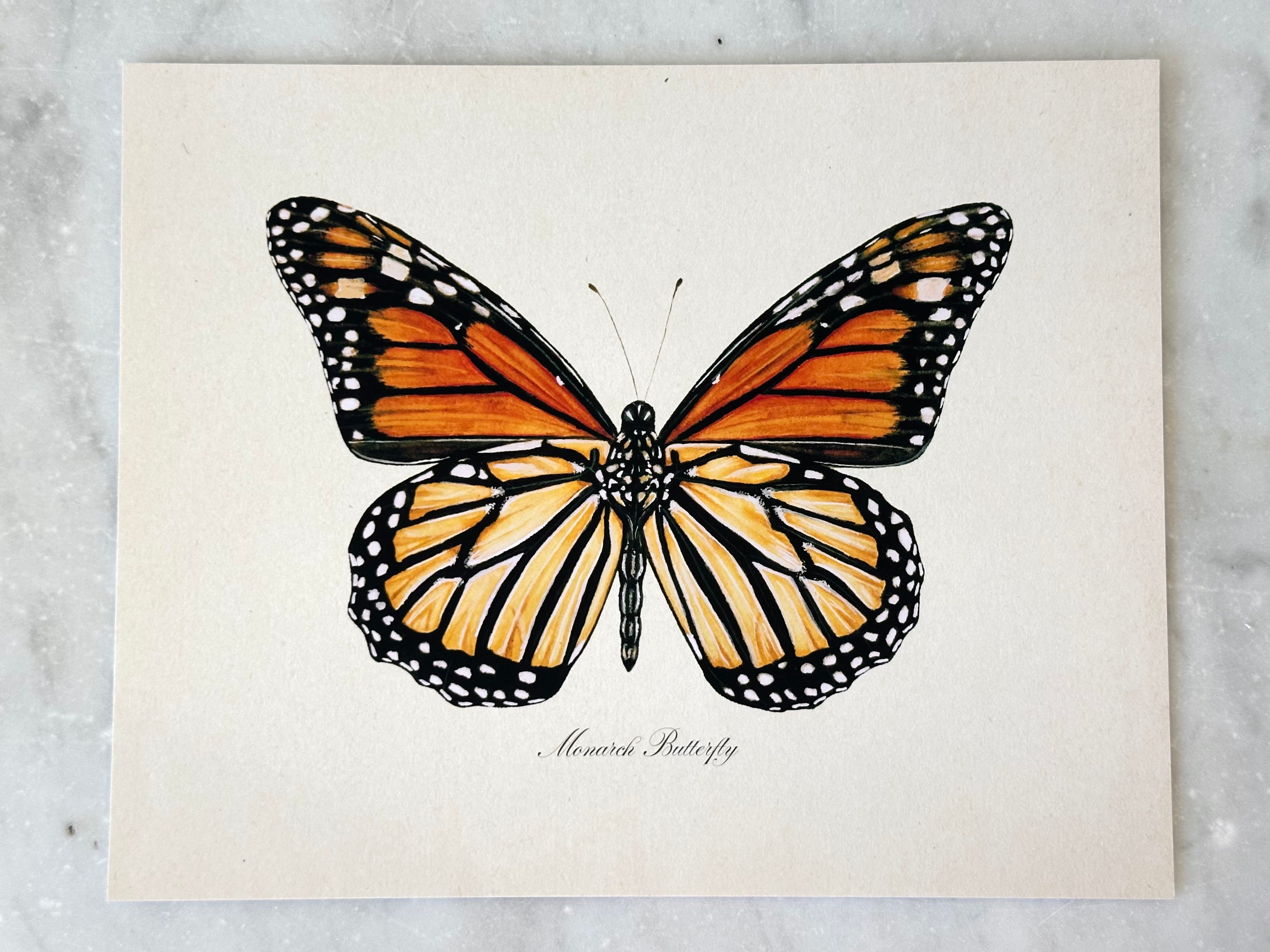 Monarch Butterfly Print
