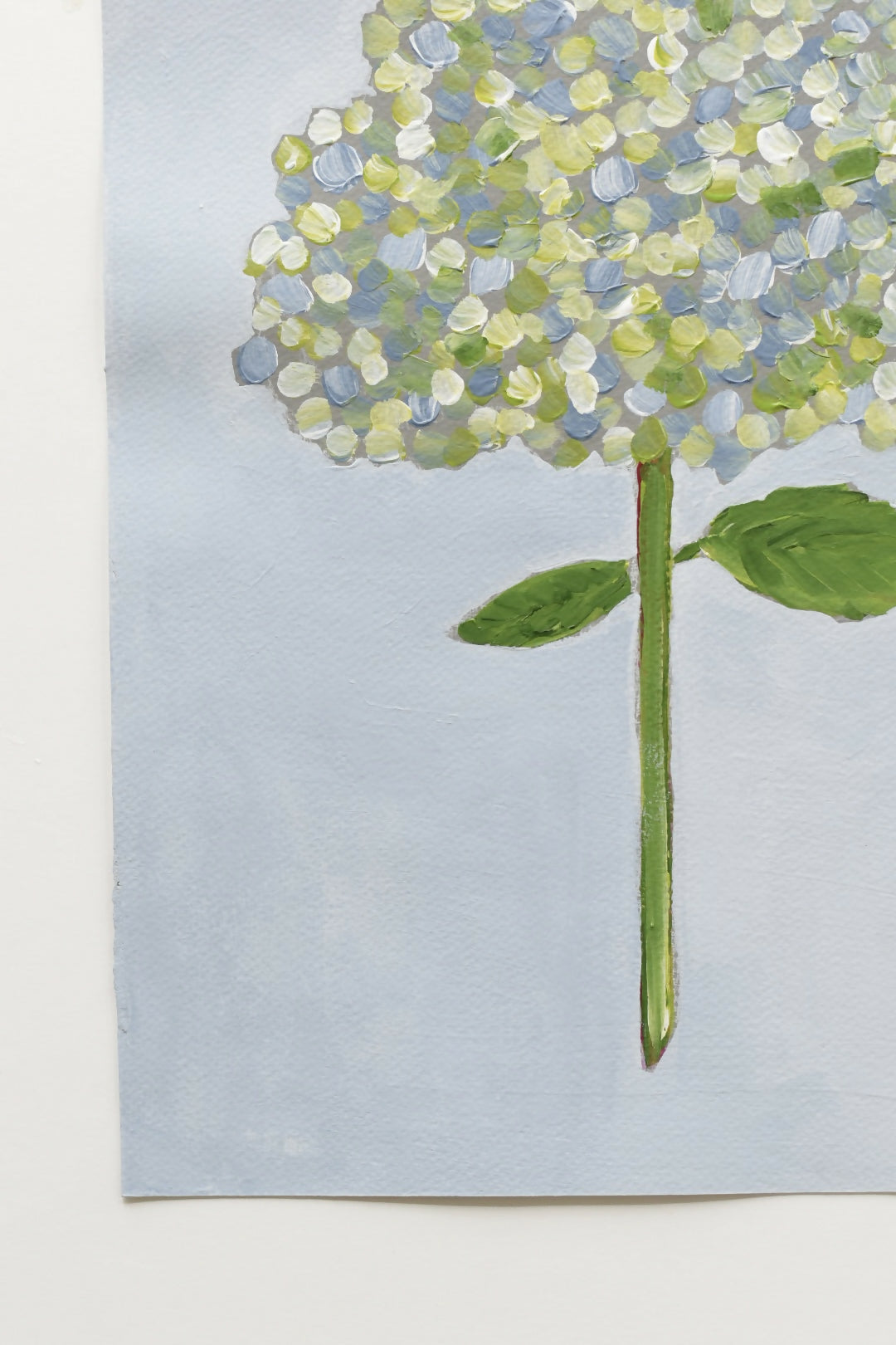 Hydrangea Petal Party