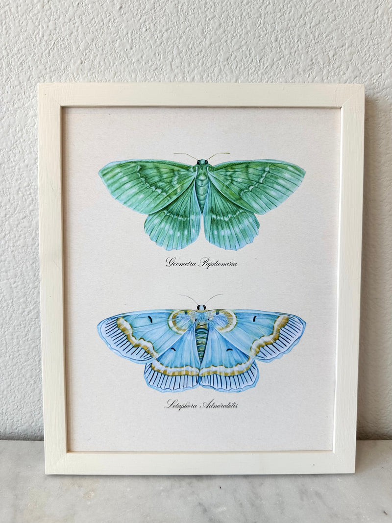 Emerald + Blue Moths Print