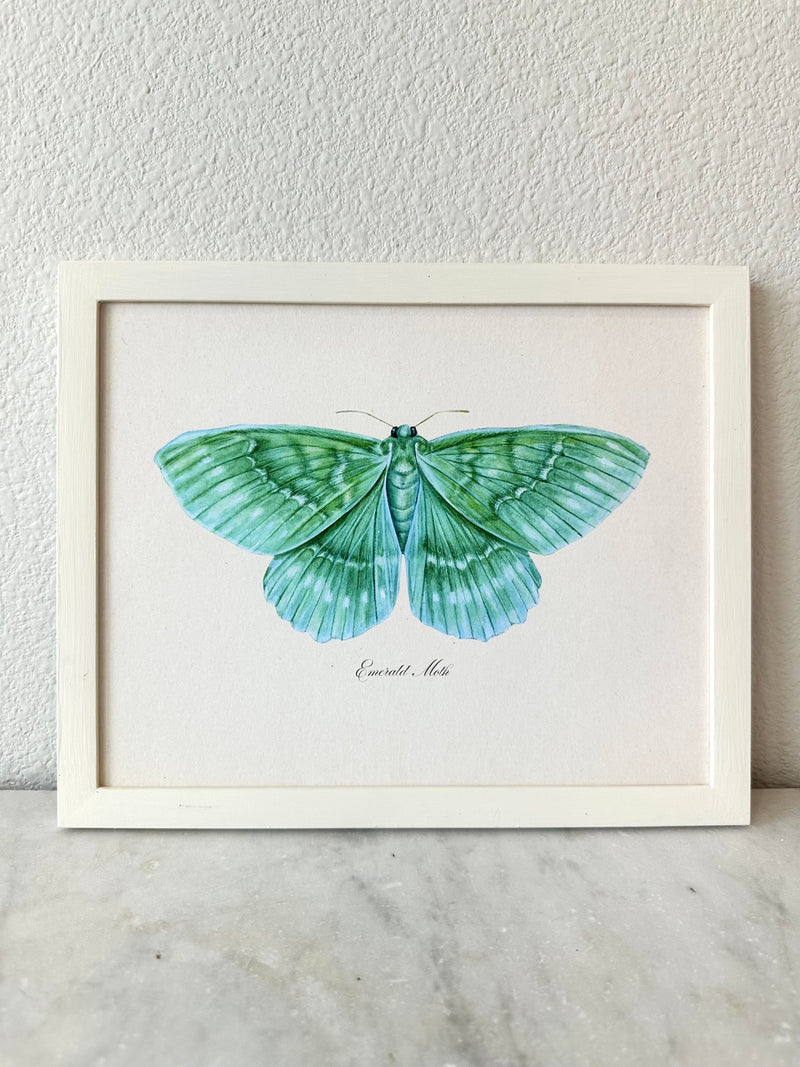 Emerald Moth Print