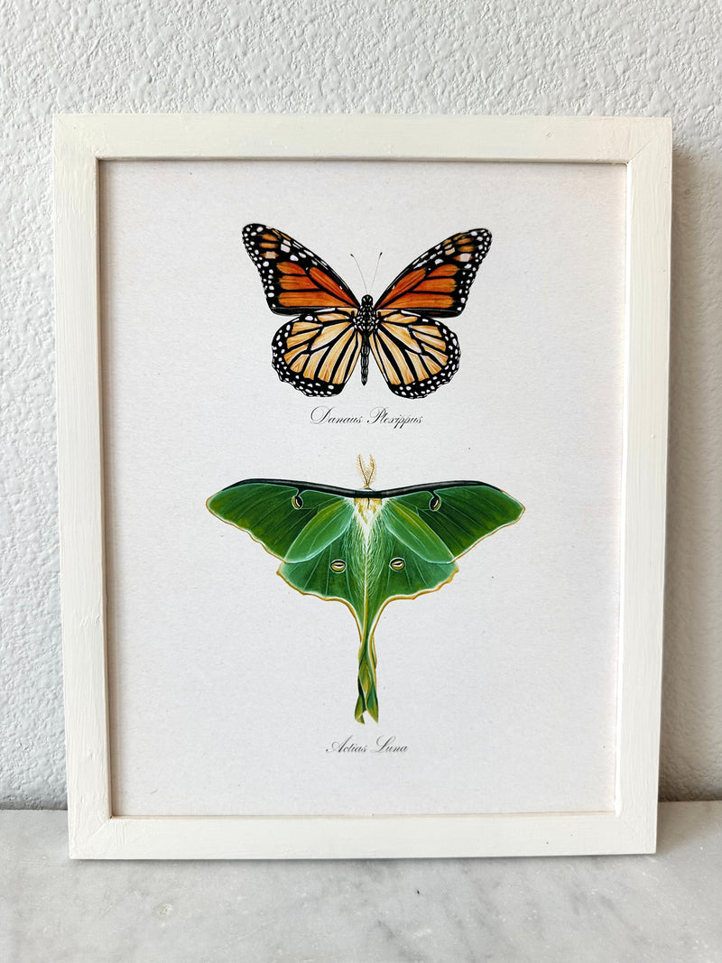 Monarch + Luna Print