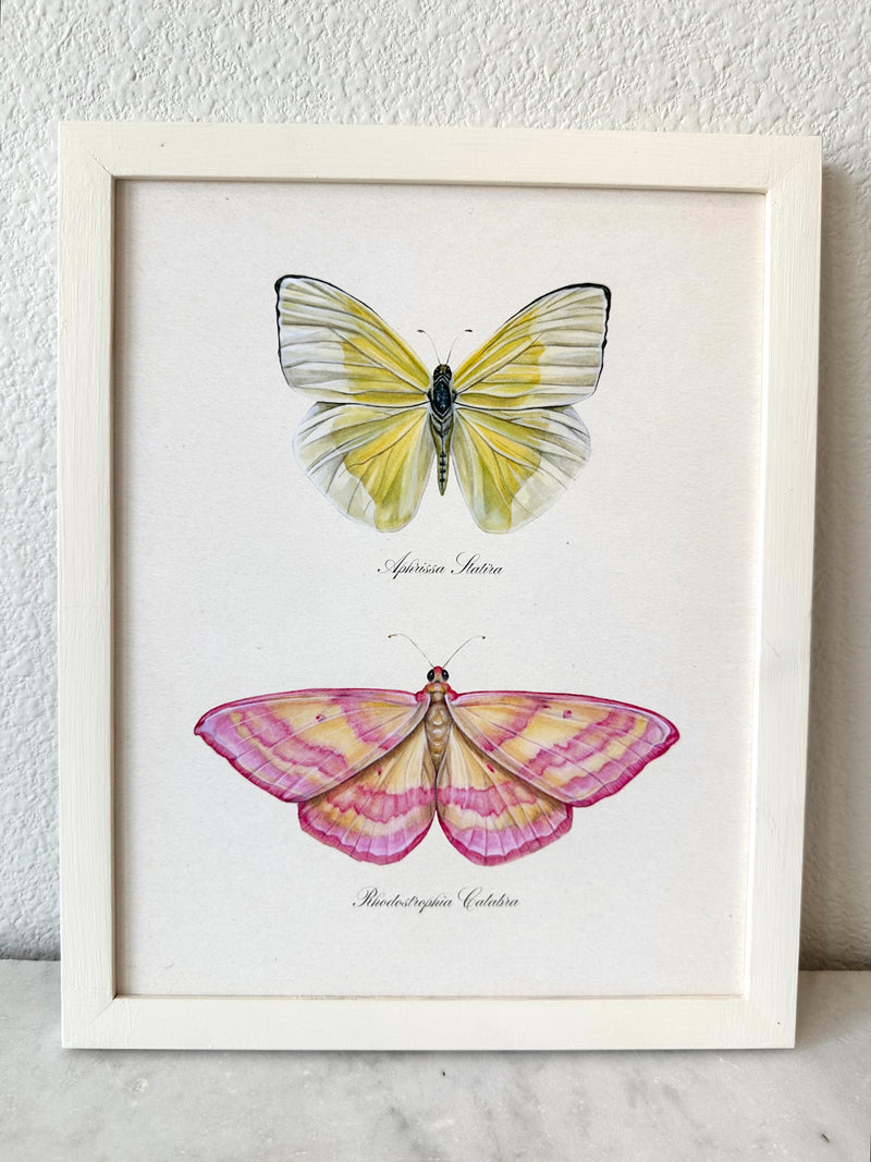 Yellow Butterfly + Pink Moth Print