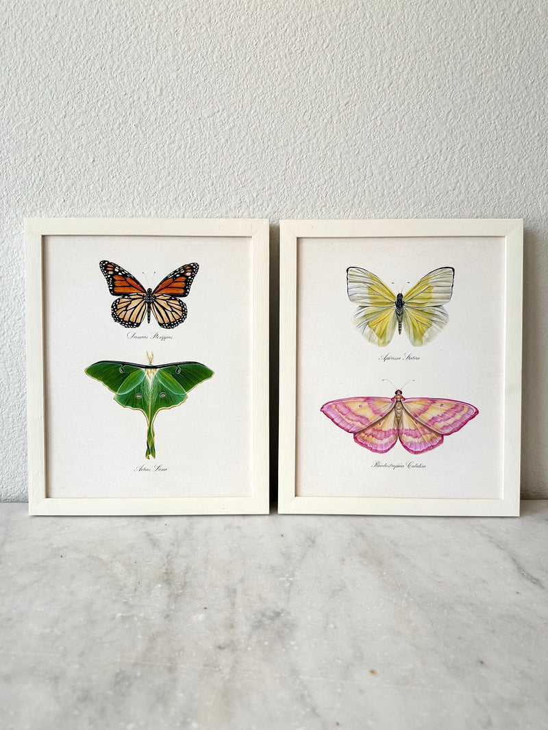 Monarch + Luna Print
