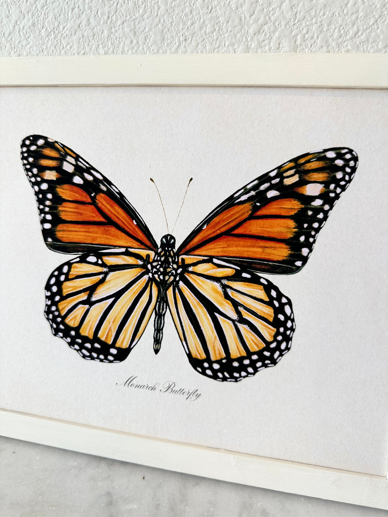 Monarch Butterfly Print