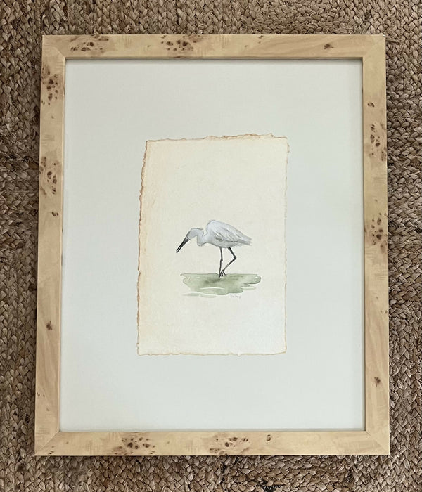 Snowy Egret in The Shallows