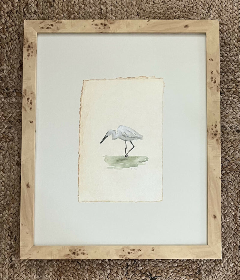 Snowy Egret in The Shallows