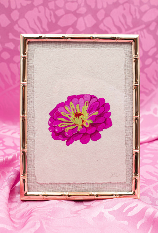 Zinnia