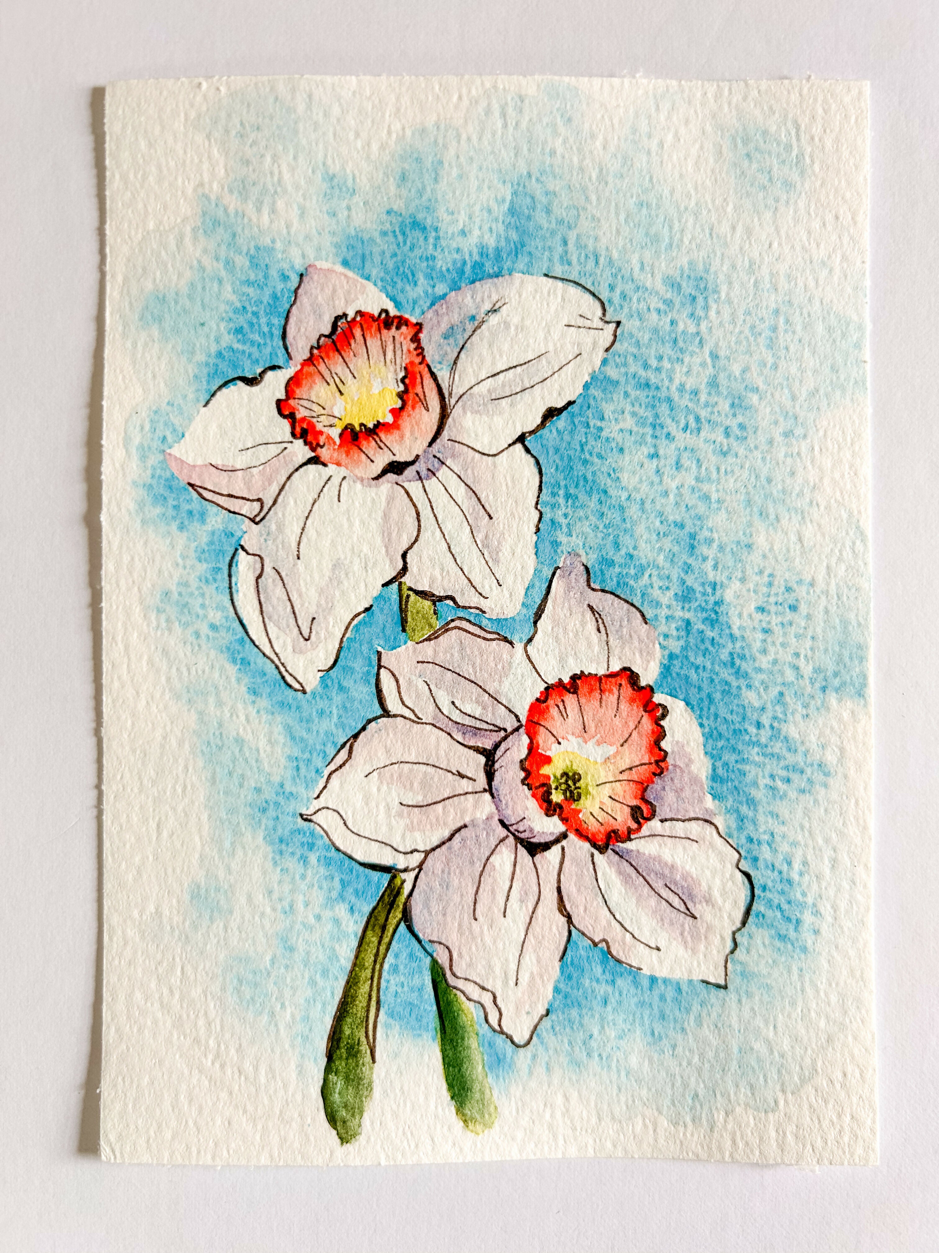 Heather Kiser White Narcissus No. 2