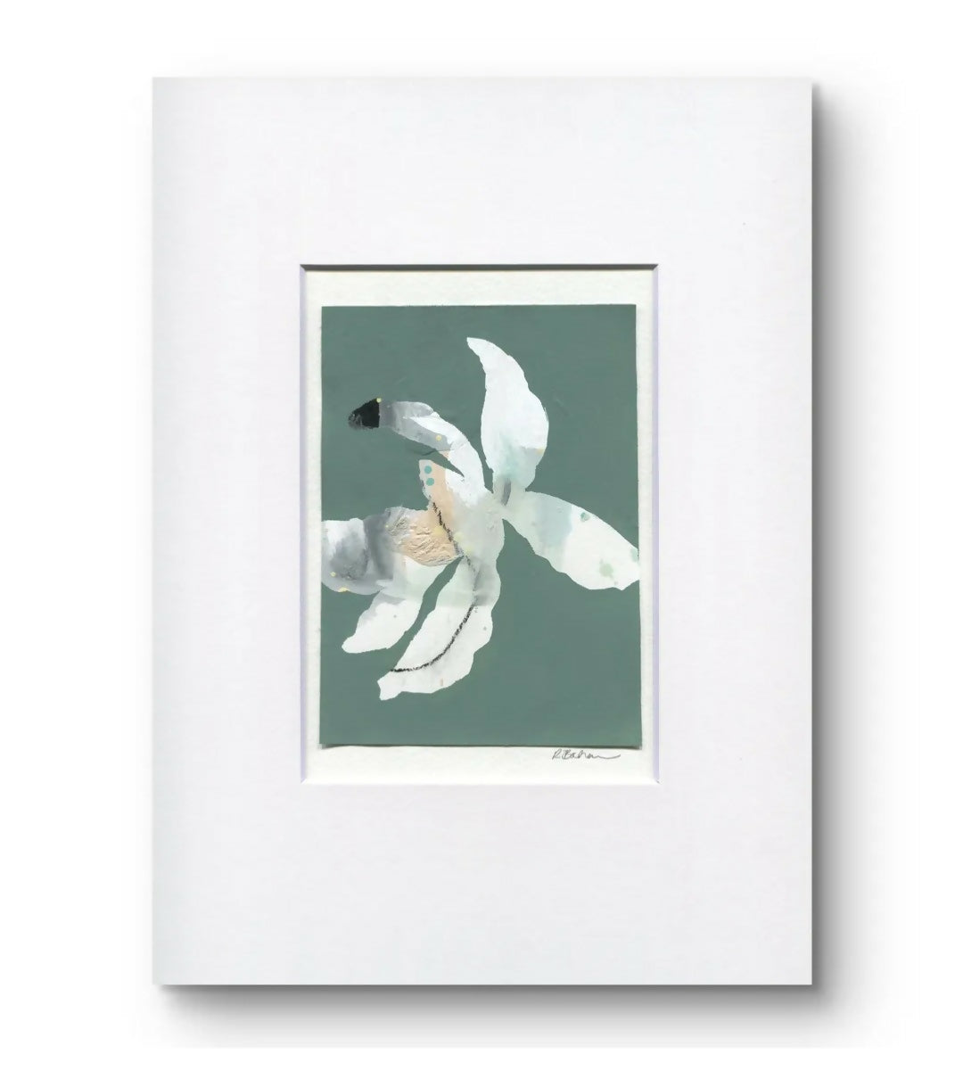 Magnolias In Moonlight - Kashmir No.1