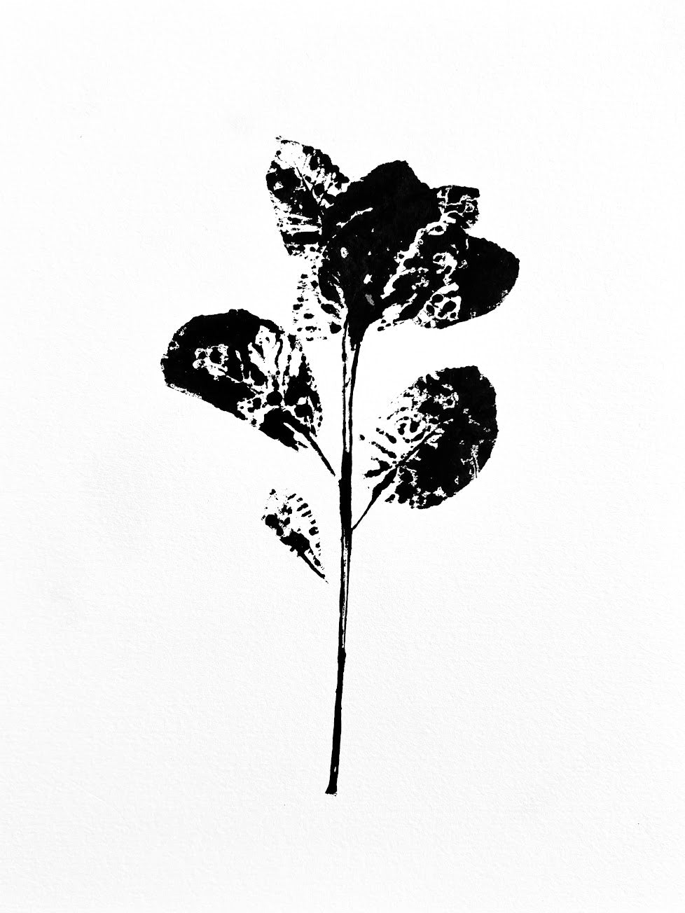 Smoke Tree II  Ink Transfer